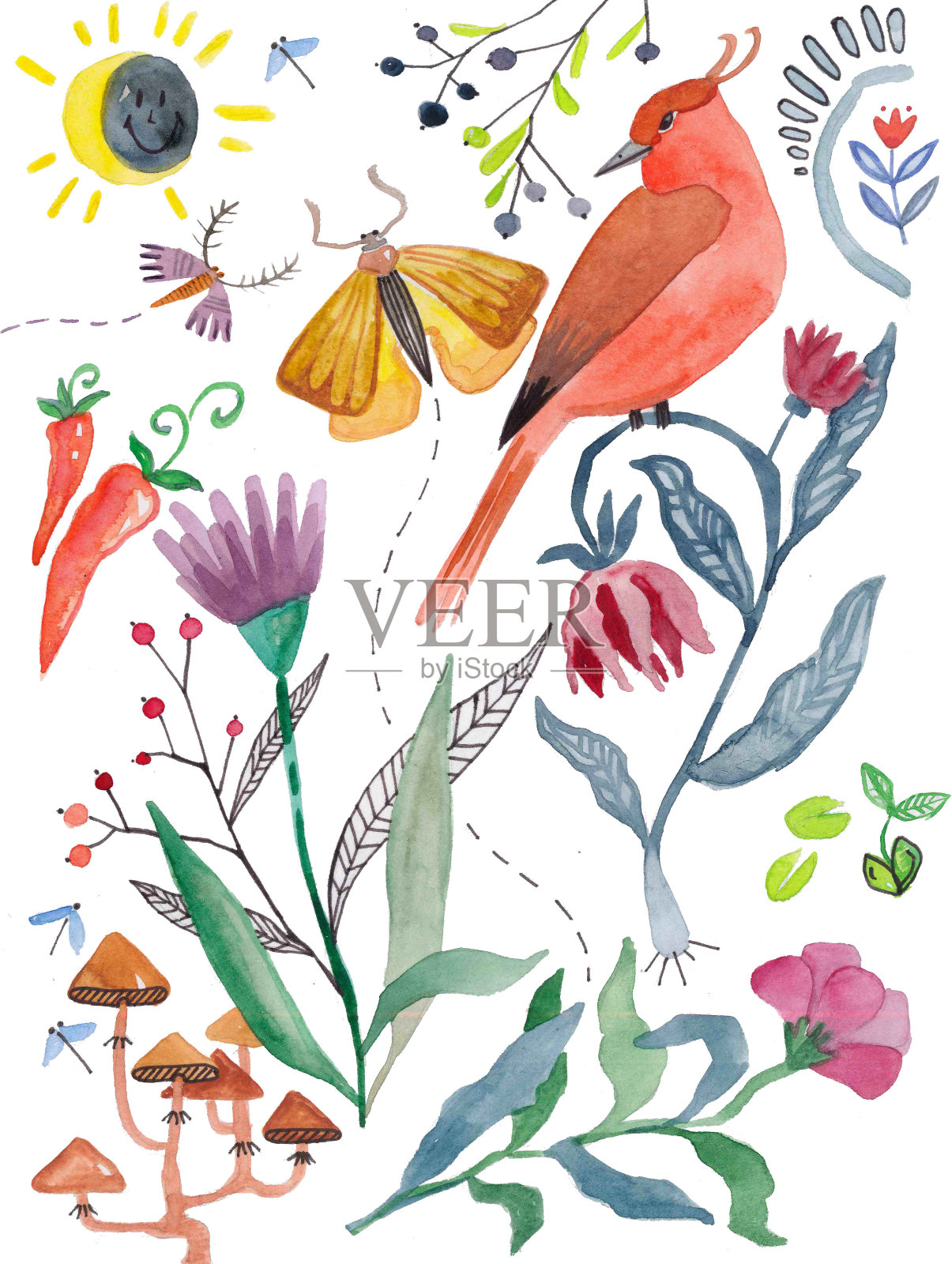 水彩植物和花卉，鸟类和昆虫插画图片素材