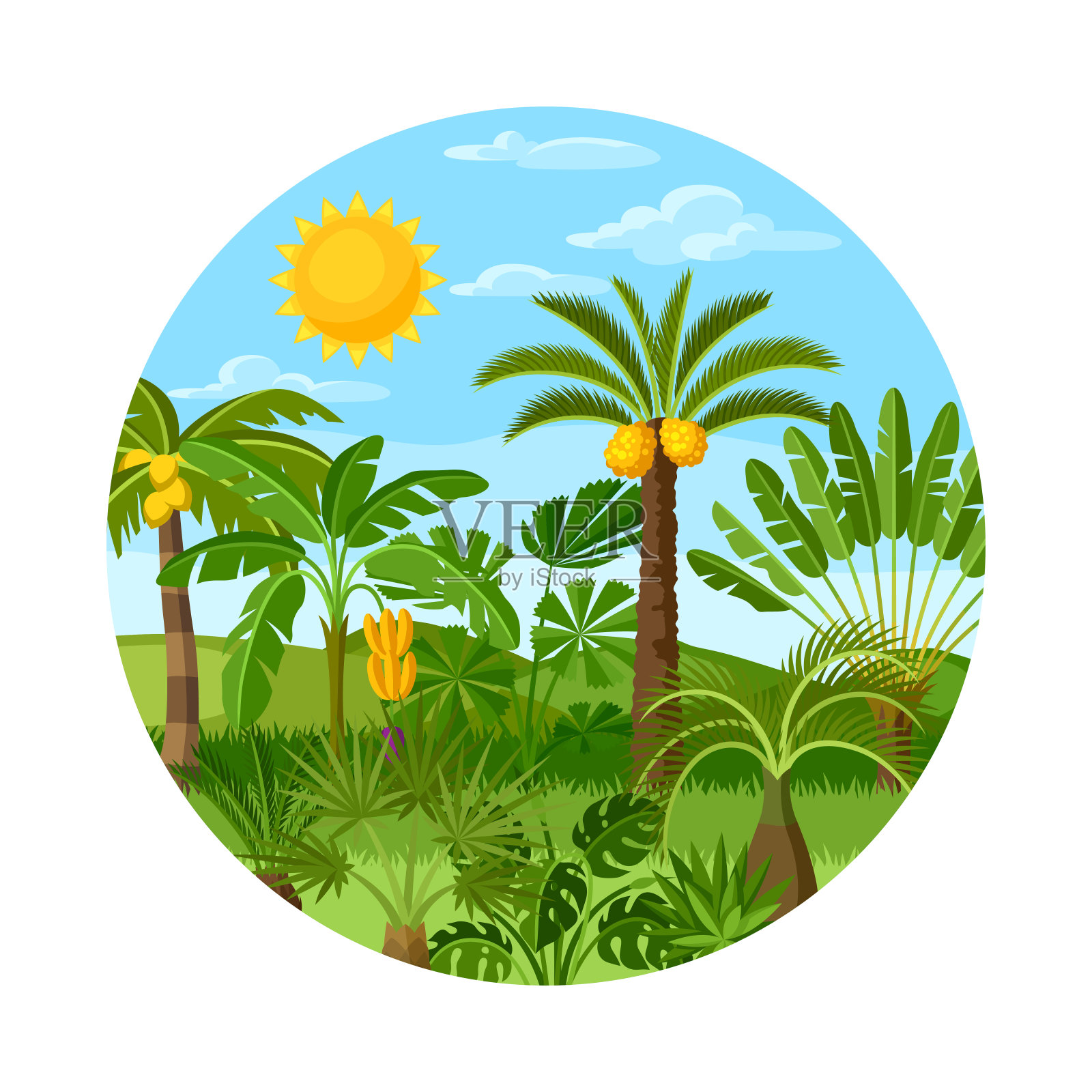 卡片上有热带棕榈树。奇异的热带植物，丛林自然的插图插画图片素材