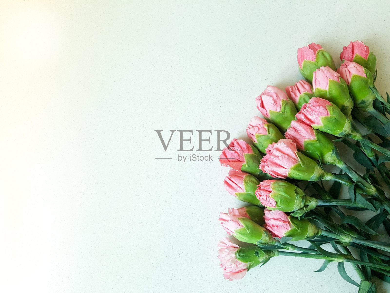粉色的康乃馨,背景照片摄影图片