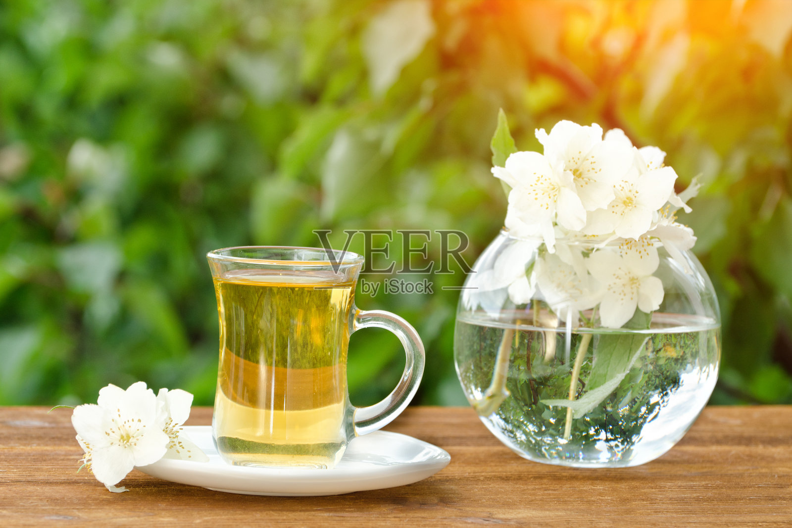 透明的茶杯和茉莉花花瓶。绿色的背景，阳光照片摄影图片