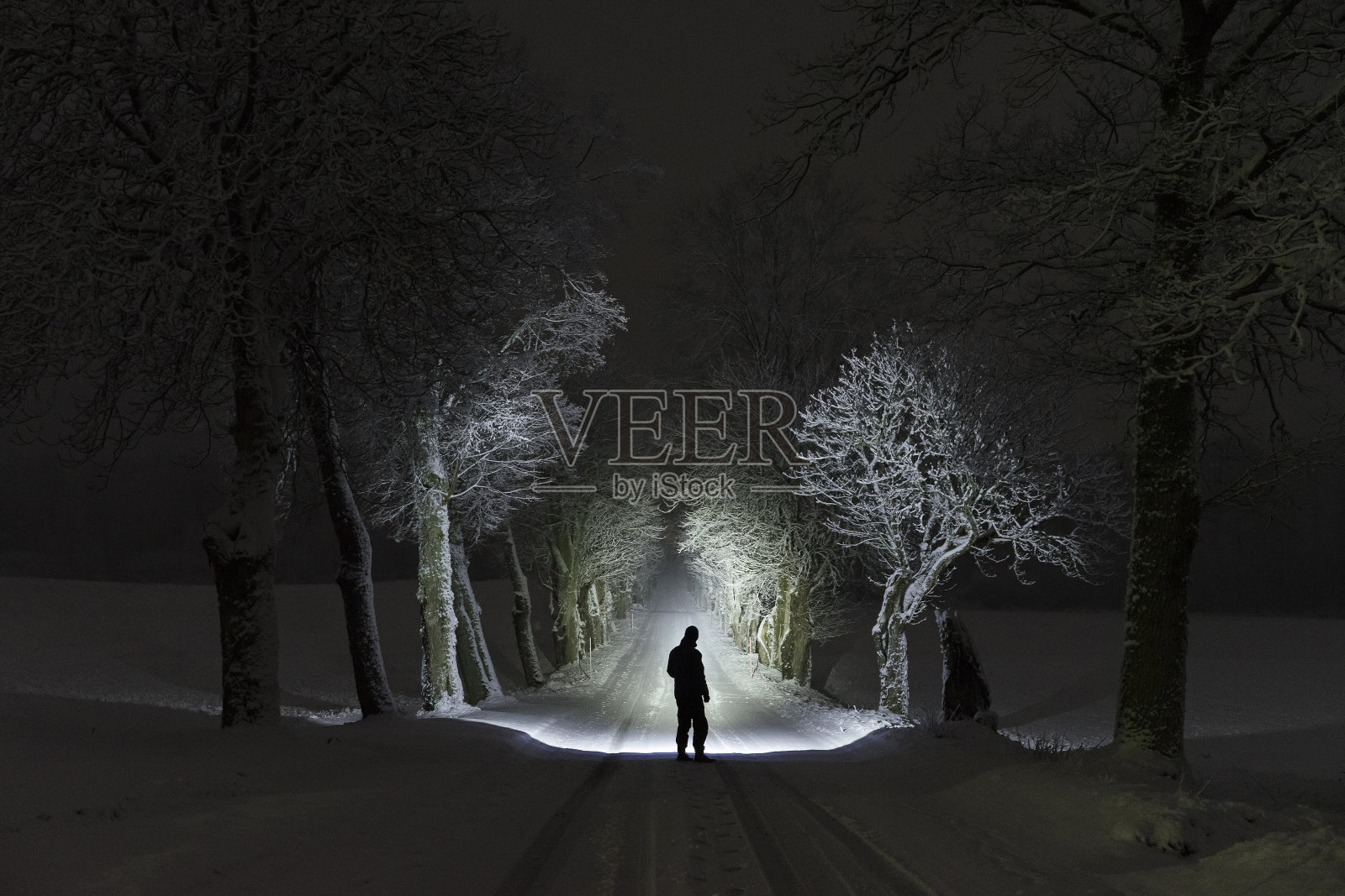 在瑞典冬季的风景中，一个人站在室外的树巷里，用手电筒照着照片摄影图片
