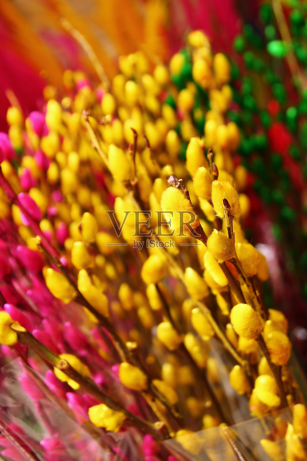 花市上的柳条上画着黄色、粉色和绿色的枝条。色调,越南。照片摄影图片