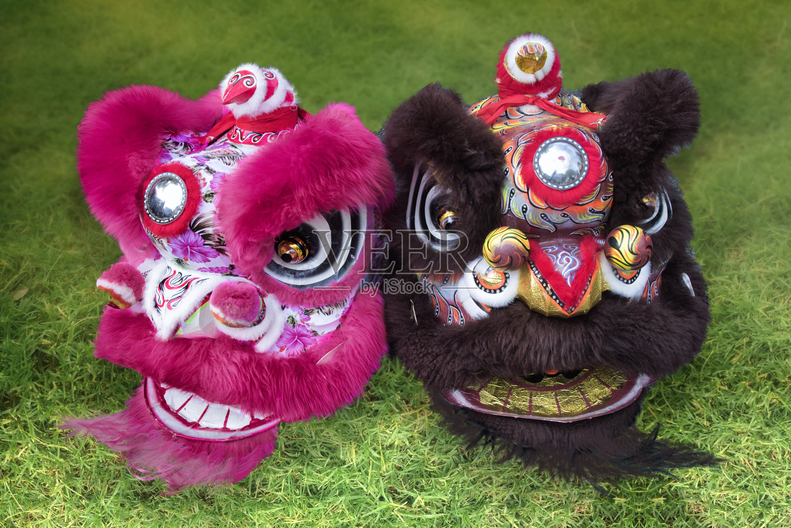 两套中国舞狮服装在草地上跳舞照片摄影图片