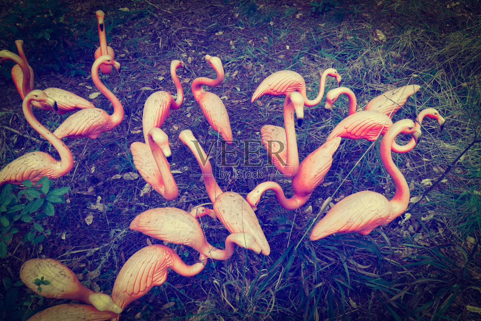 森林里的粉红色塑料火烈鸟照片摄影图片