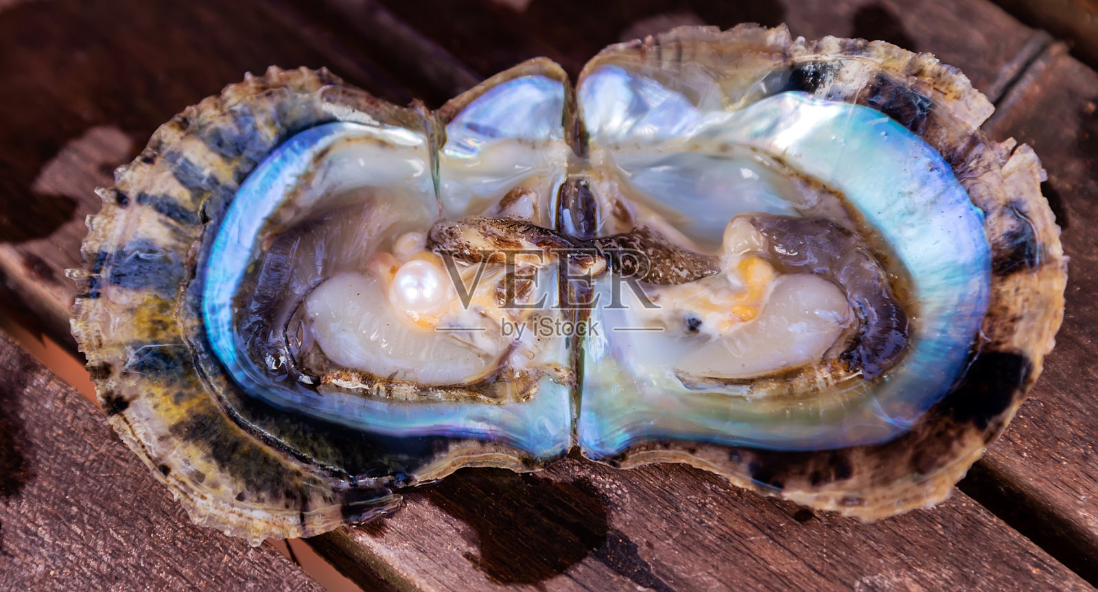 Open oyster with harvest pearls mother-of-pearl. Seashell照片摄影图片