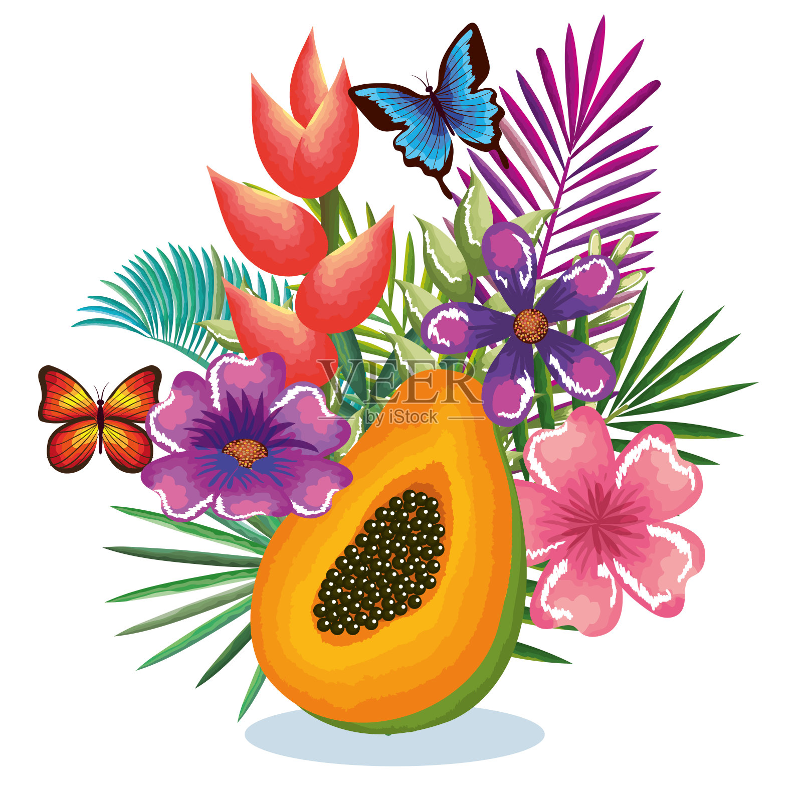 带木瓜的热带花园插画图片素材
