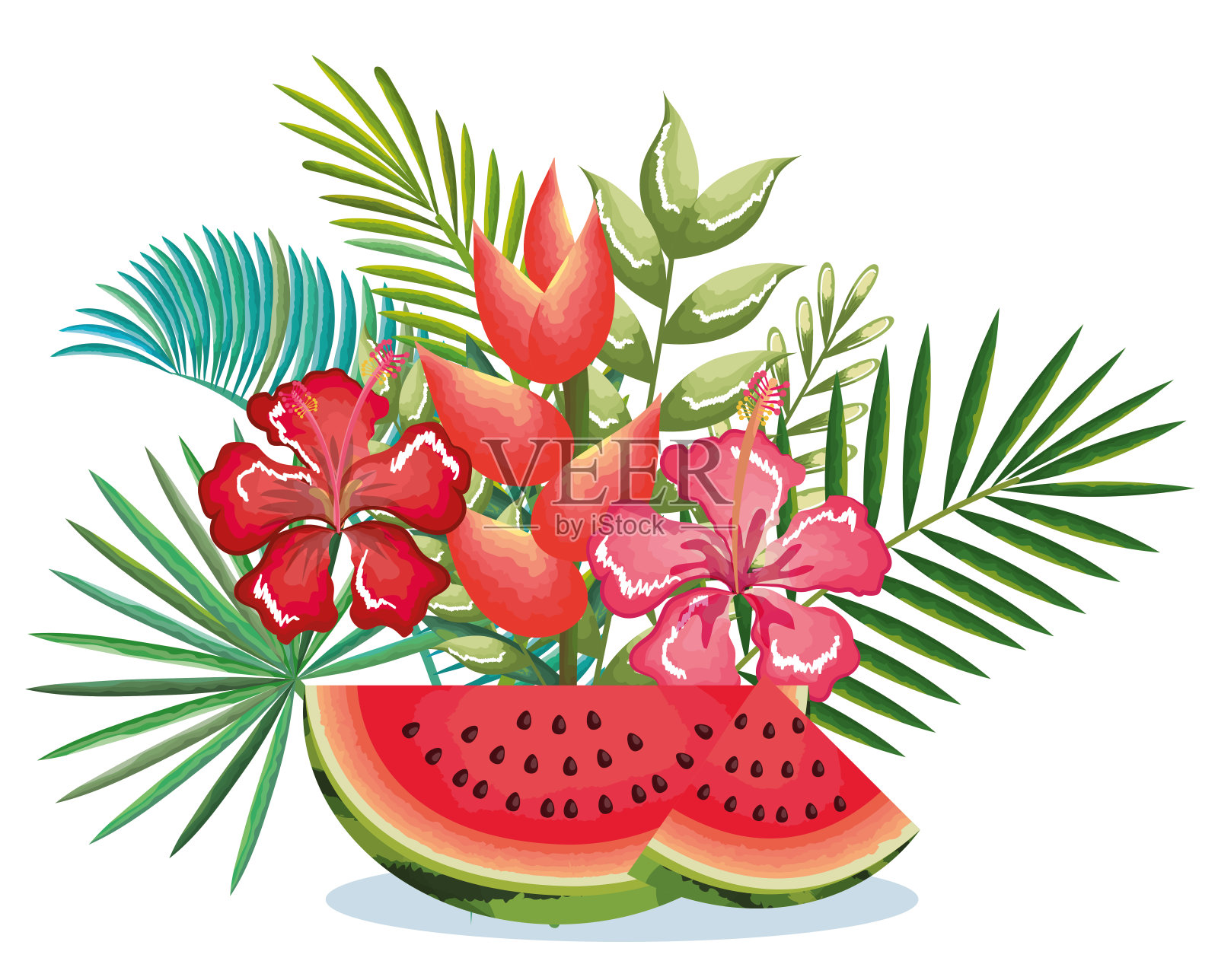 热带西瓜花园插画图片素材