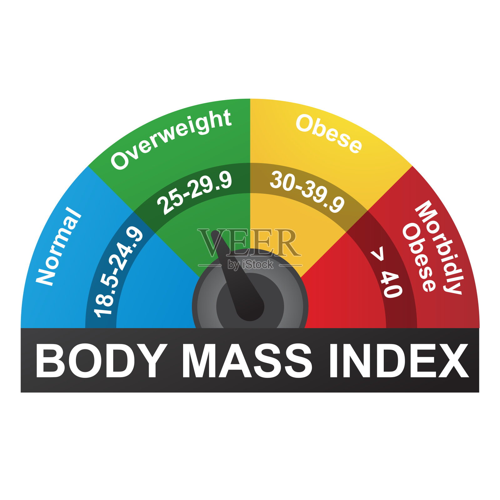 BMI或身体质量指数信息图表插画图片素材
