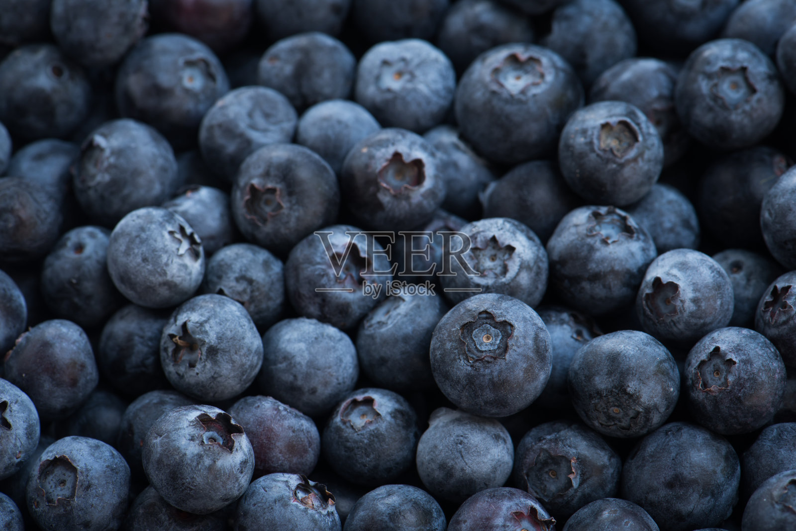 摆放成熟的蓝莓作背景水果照片摄影图片