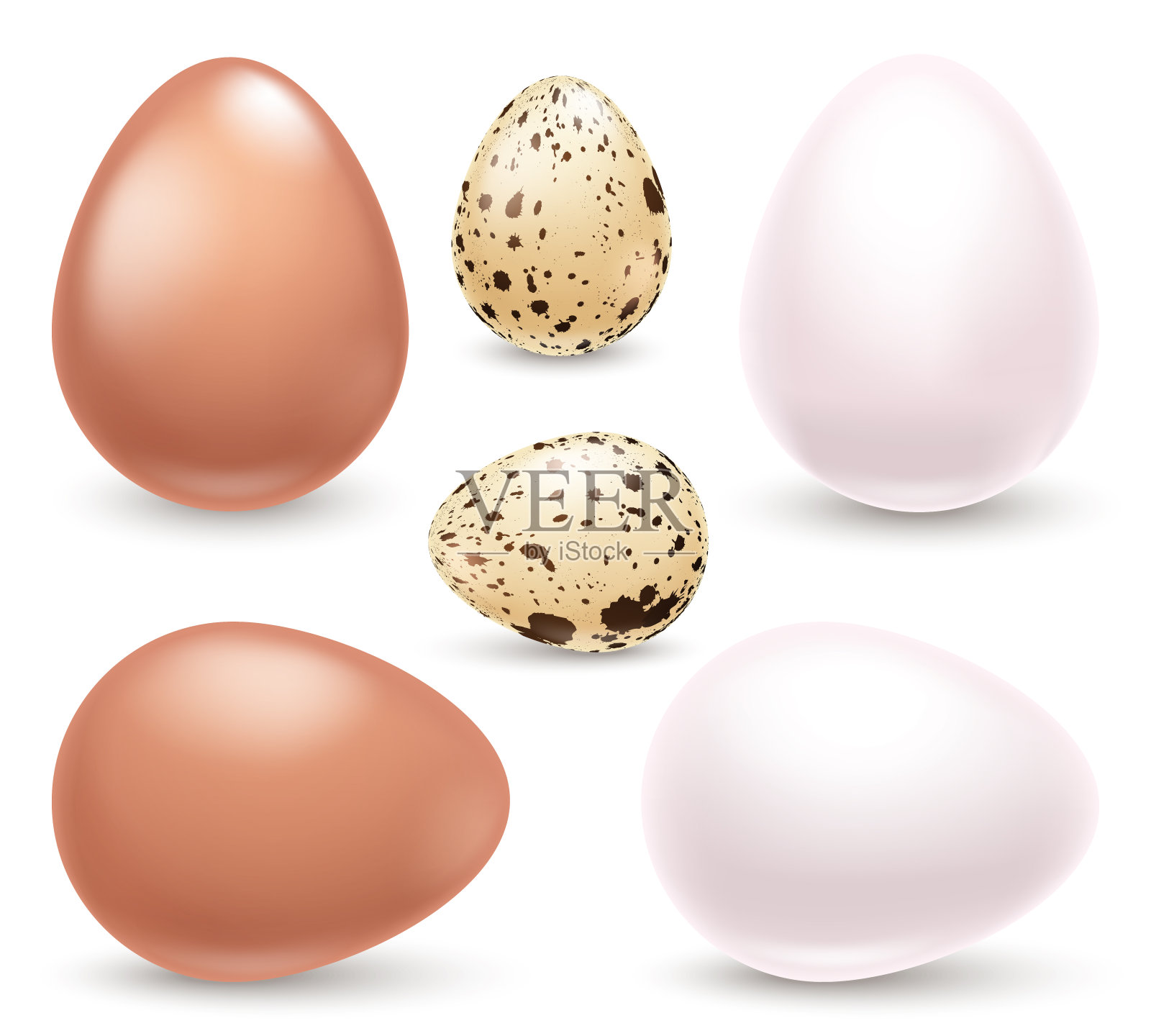 一套现实的鸡蛋在白色的背景。复活节的收藏。矢量插图。插画图片素材