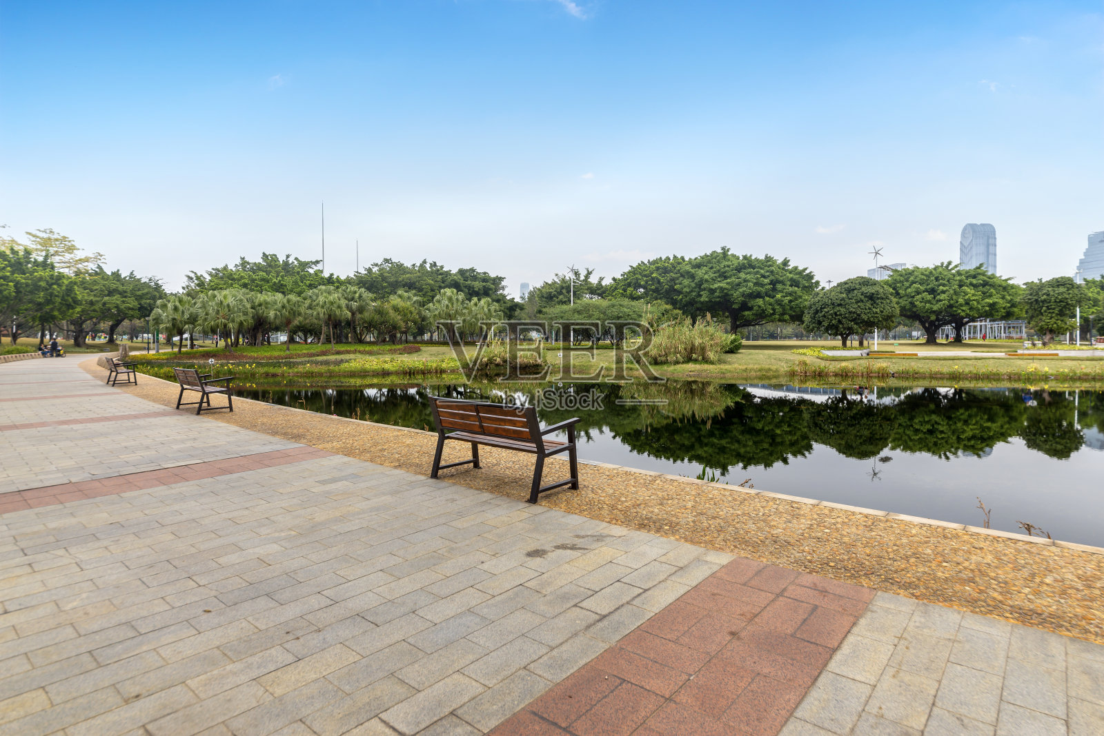 中国广州的湿地公园照片摄影图片
