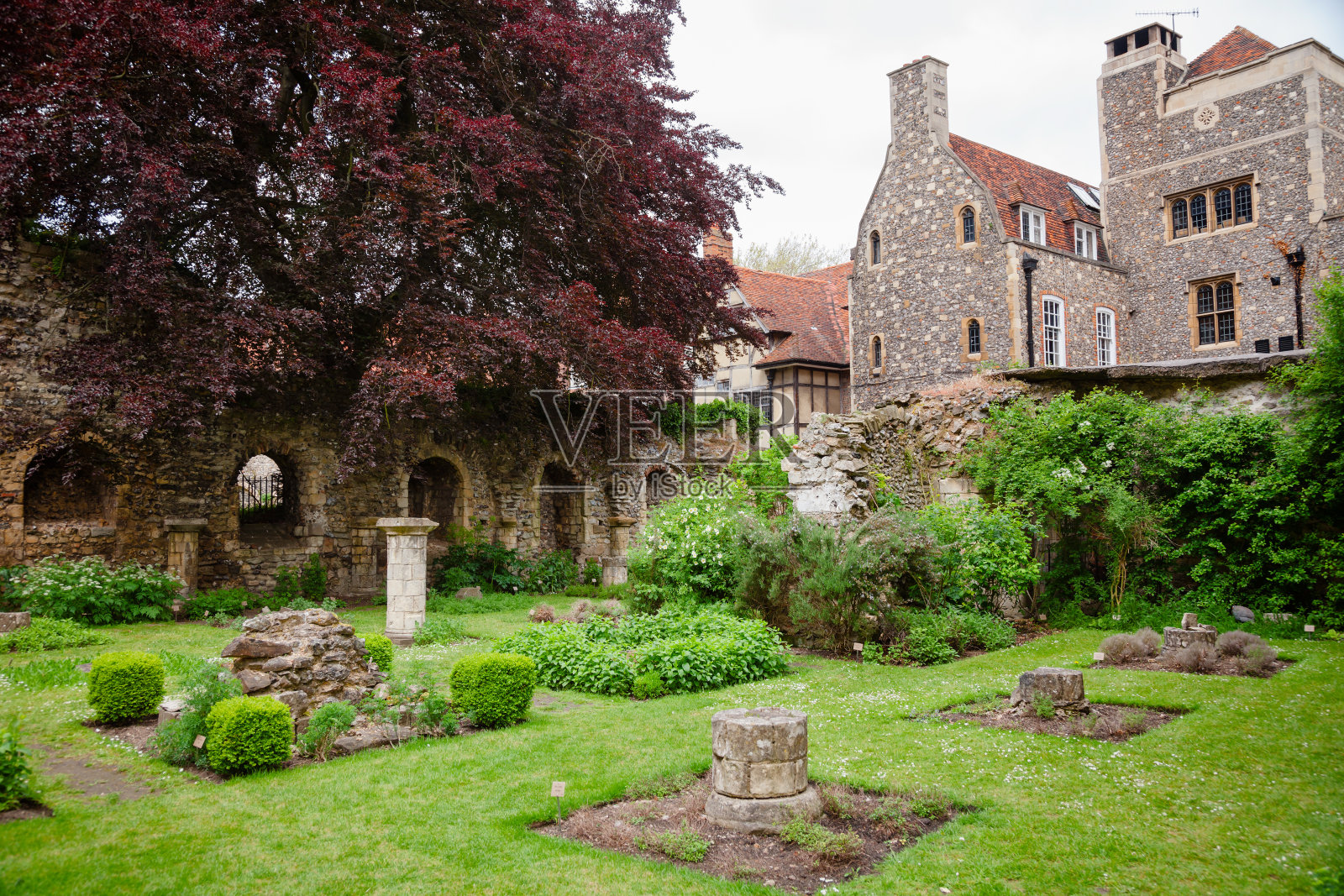 英国南部肯特郡坎特伯雷大教堂的草药花园照片摄影图片