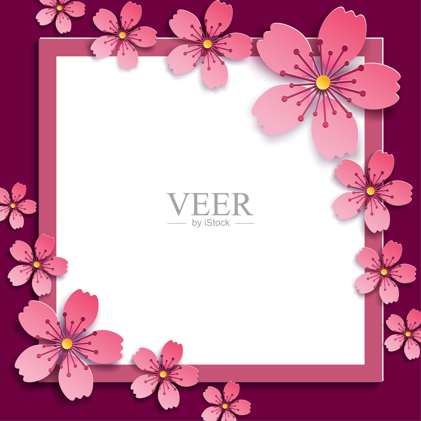 庆祝框架与粉红色的3d樱花盛开插画图片素材