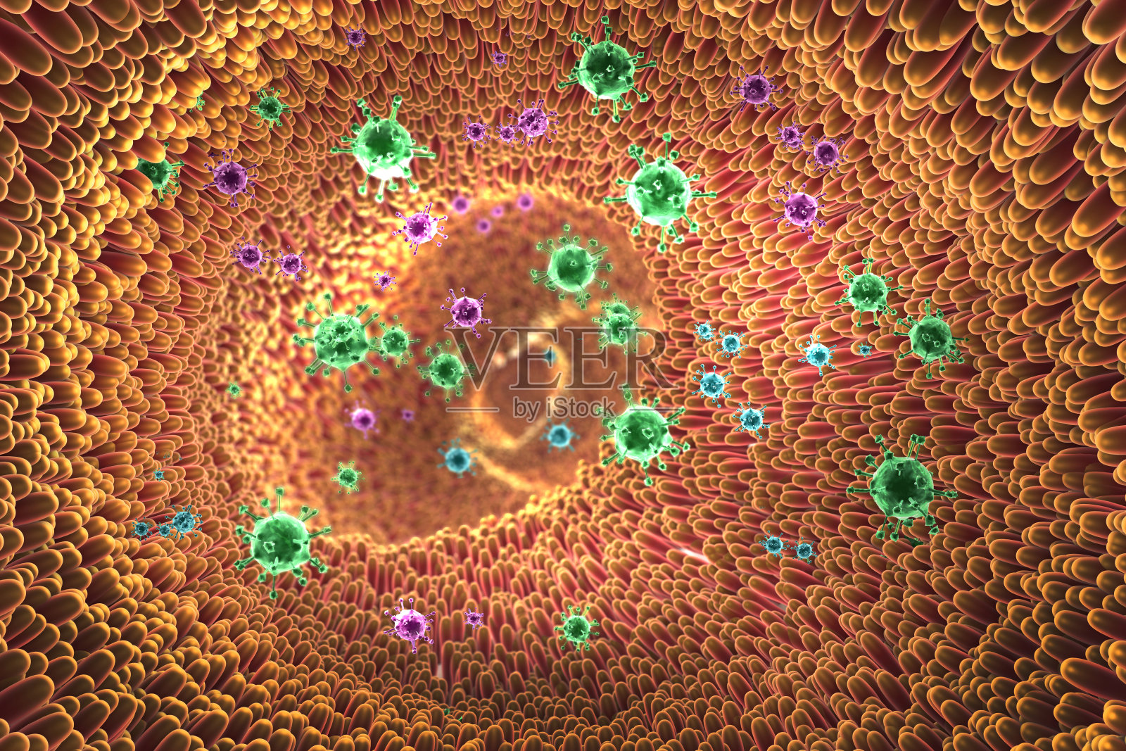 3d插图显微特写显示病毒和肠绒毛进入消化道照片摄影图片