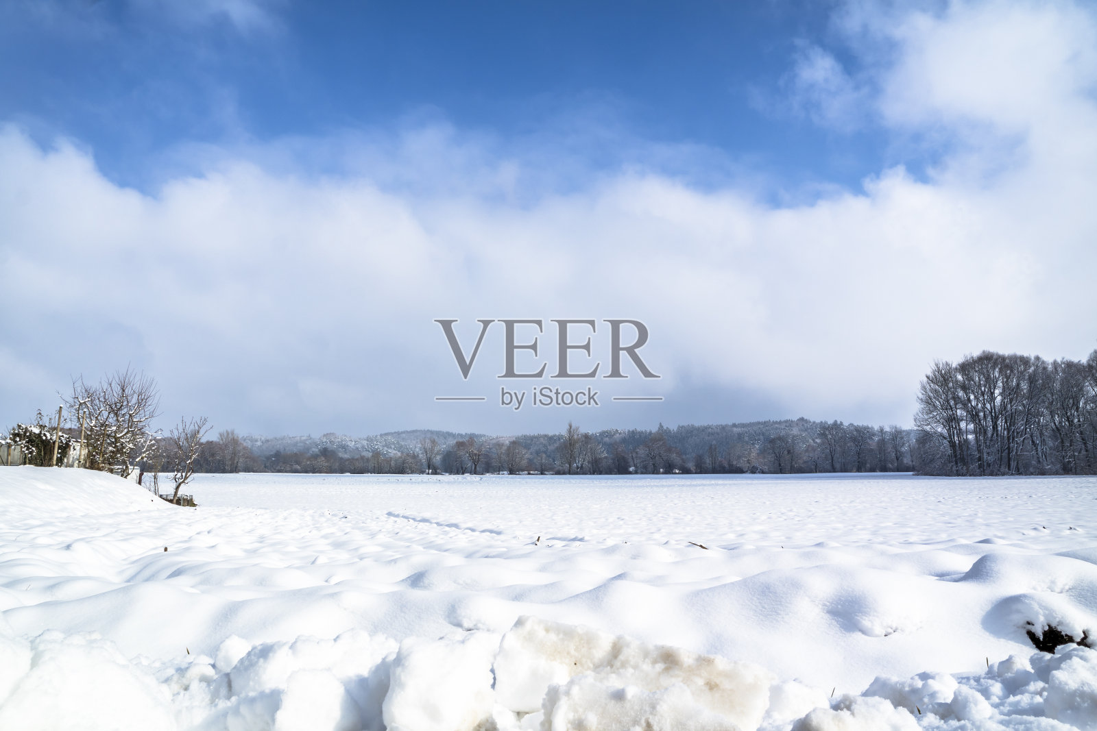 冬天的风景，乡村的雪地和地平线上的树木和山丘照片摄影图片