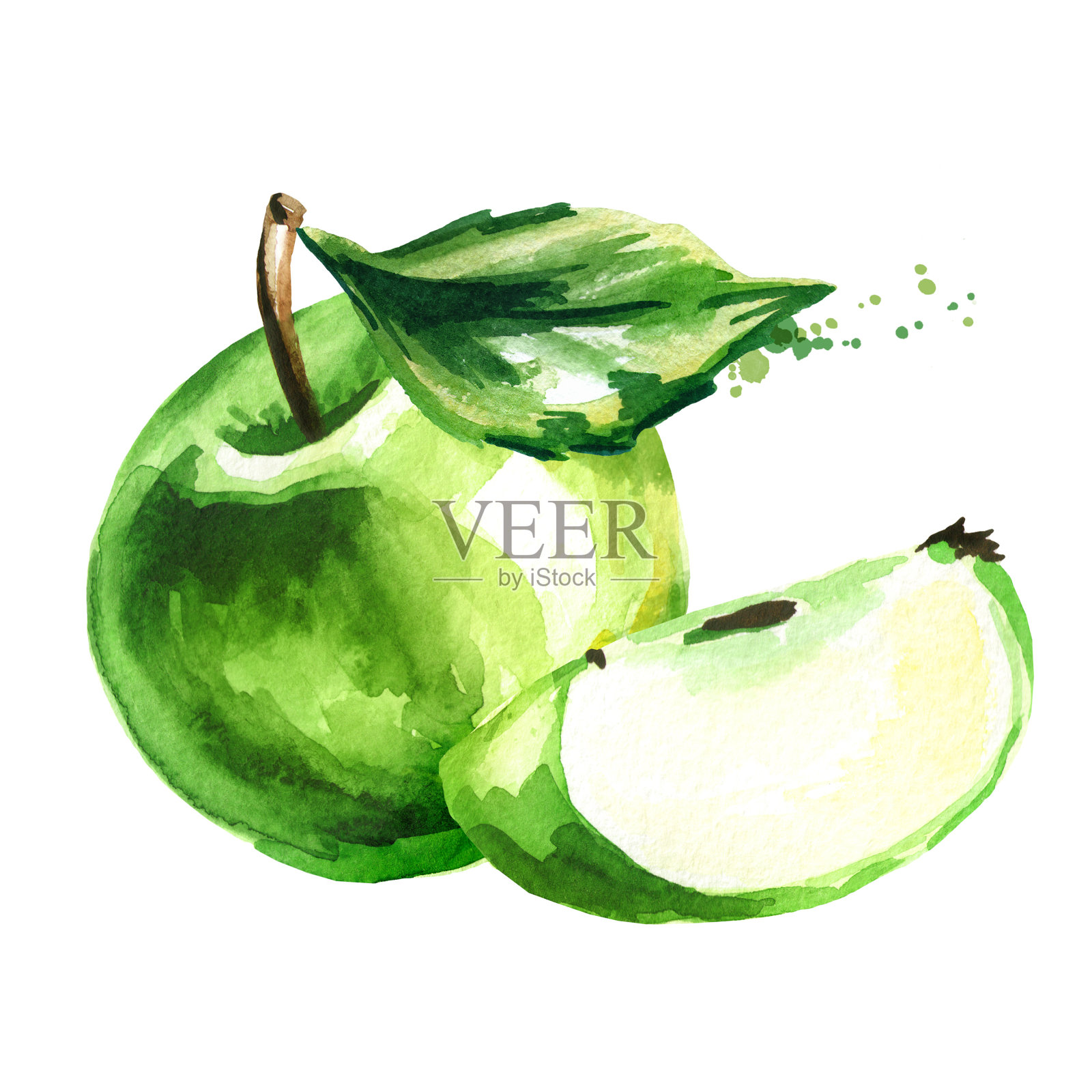 绿色的苹果。手绘水彩插图，孤立的白色背景插画图片素材