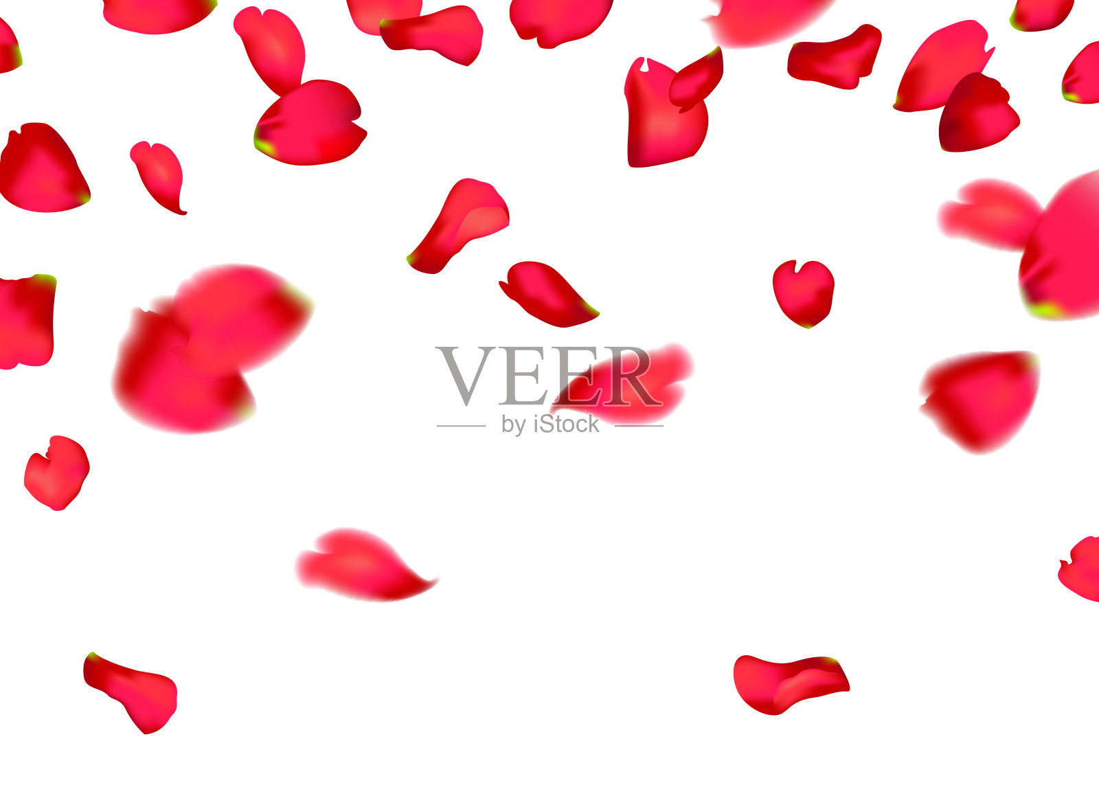 红色樱花或玫瑰花瓣飘落插画图片素材