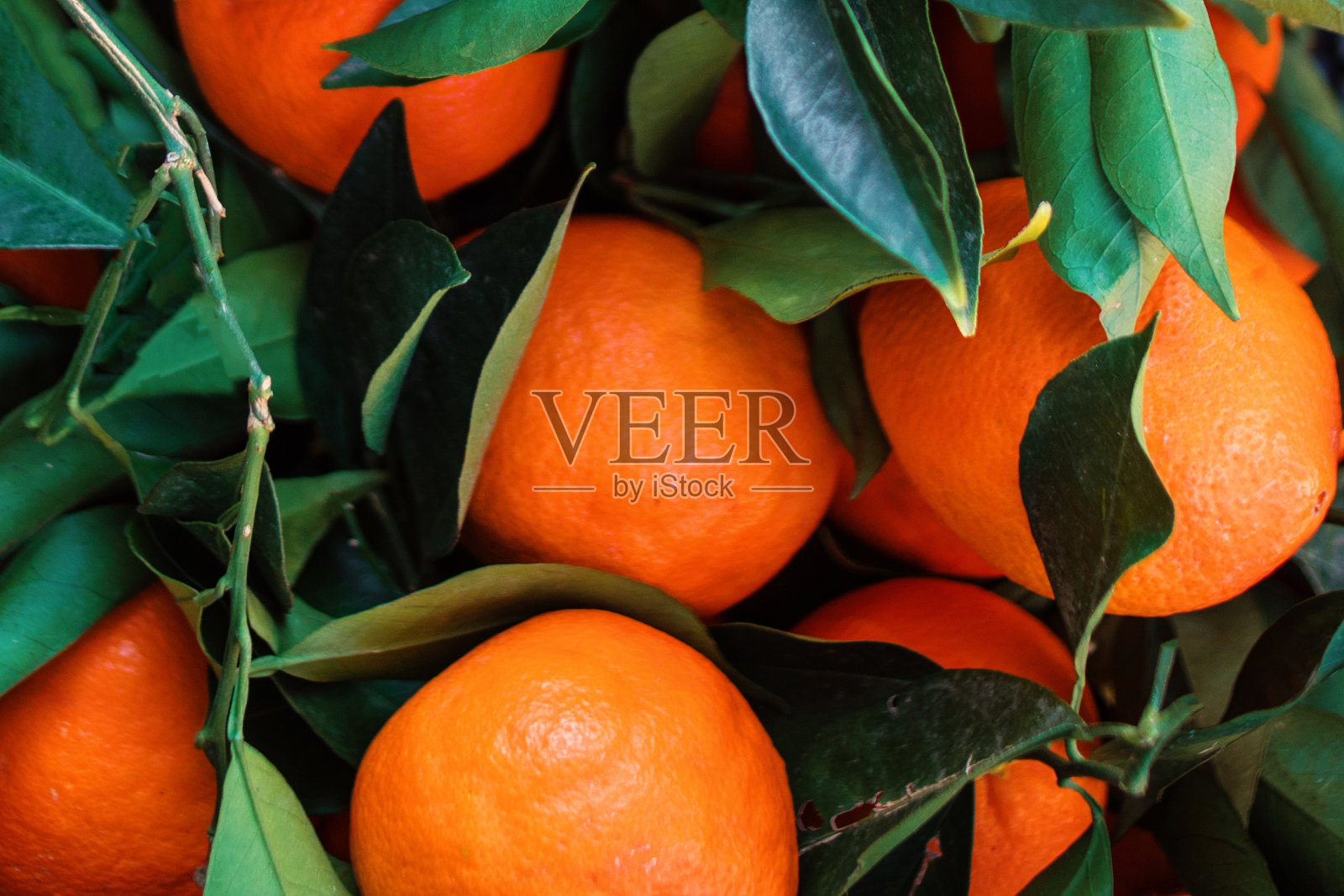 新鲜的橘子装在带有绿叶和嫩枝的木盒子里。新鲜采摘的橘子或小柑橘放在篮子里。柑橘类食物’照片摄影图片