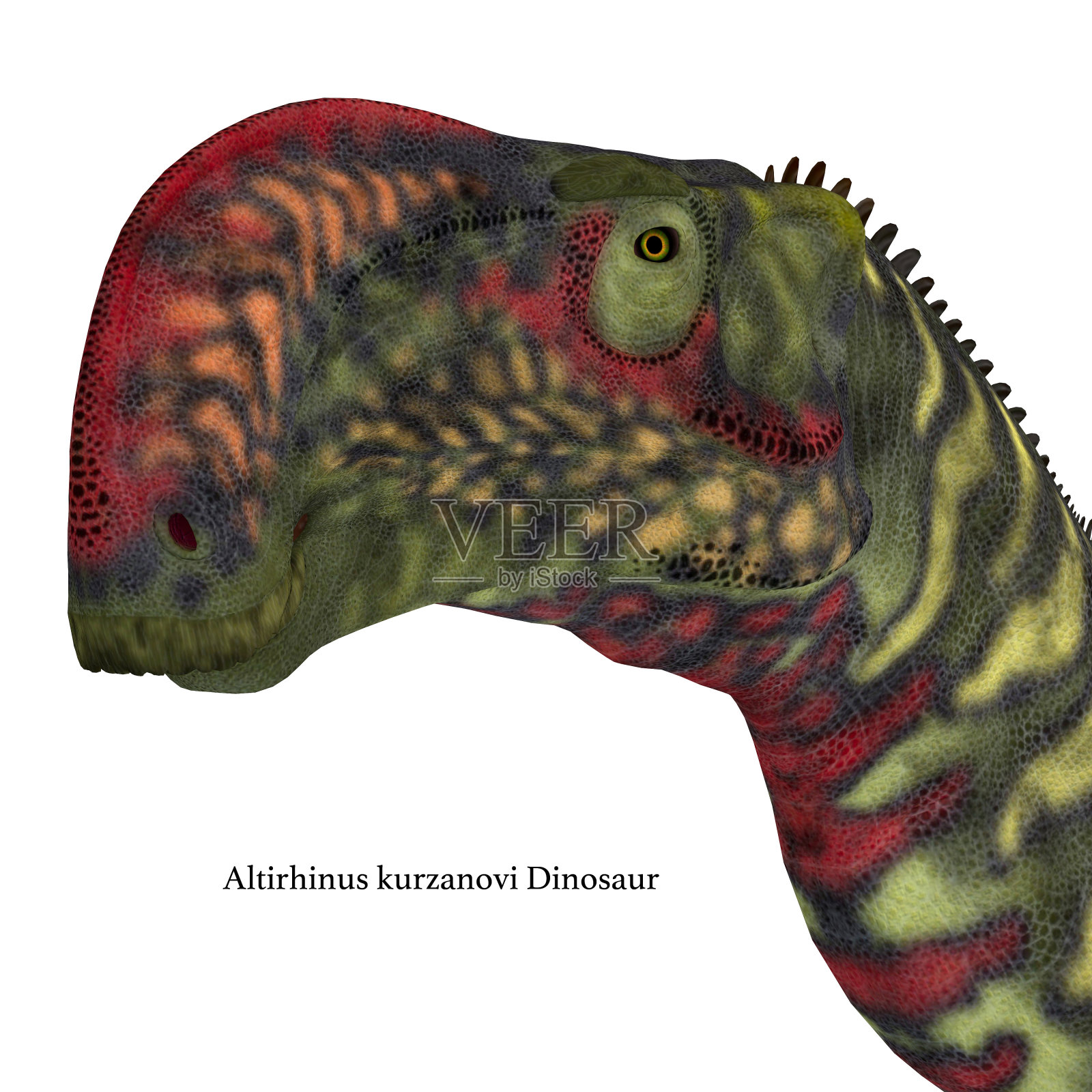 Altirhinus恐龙头插画图片素材