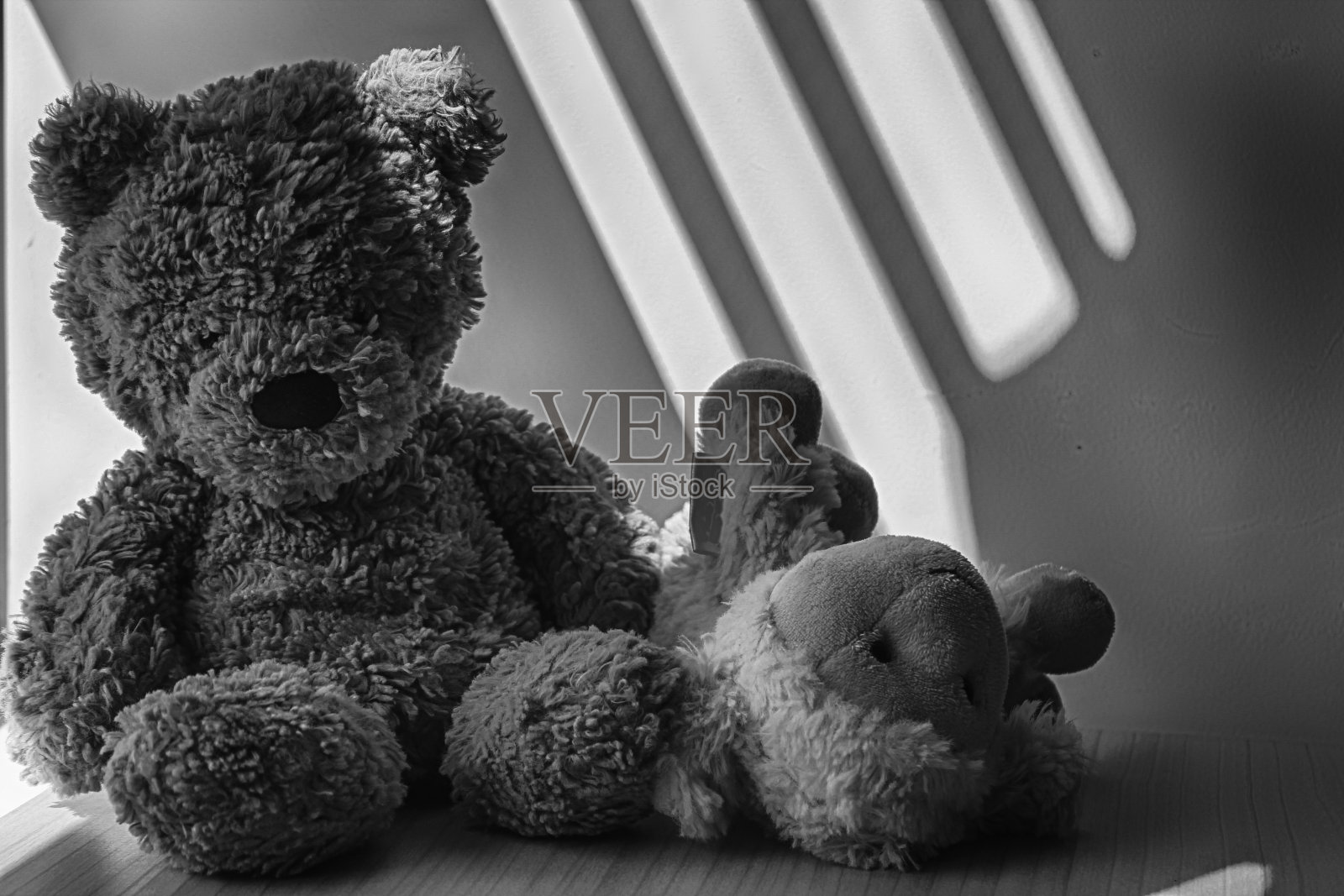 黑白小熊和小羊玩具坐在窗边的阴影里照片摄影图片