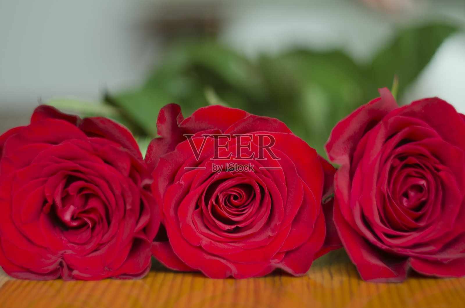 红玫瑰之花照片摄影图片