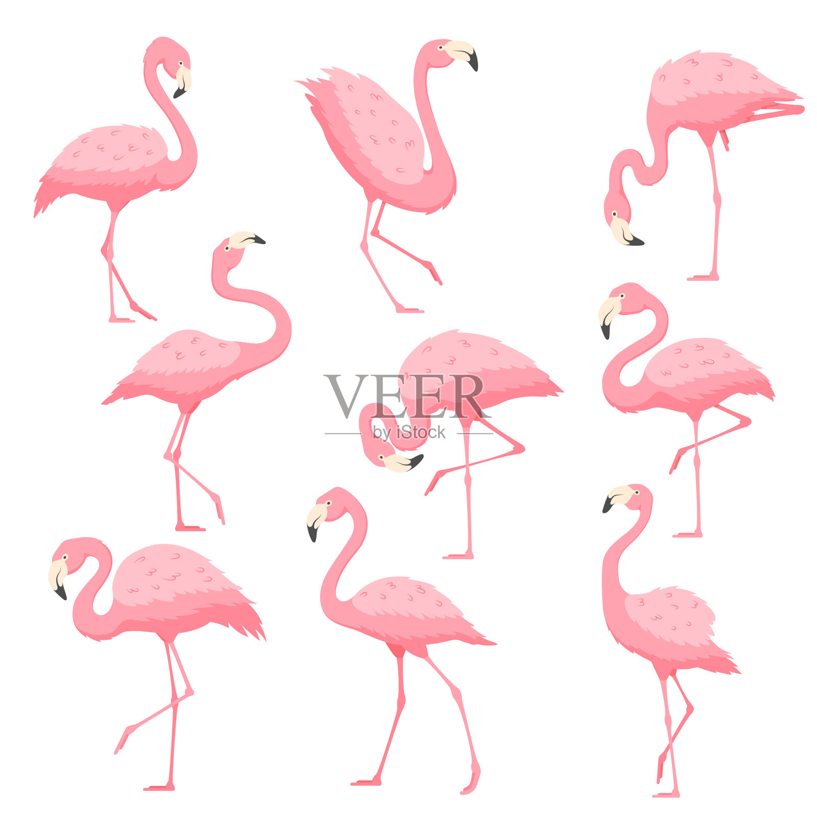 粉色火烈鸟矢量卡通插图插画图片素材