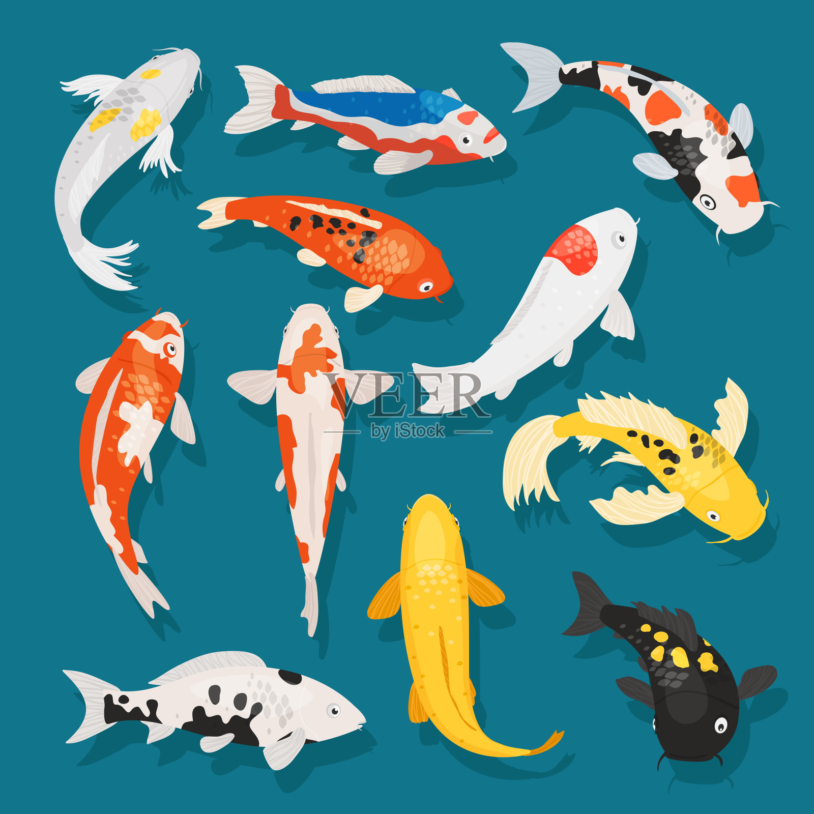 日本鱼矢插图鲤鱼和五颜六色的东方锦鲤在亚洲设置中国金鱼和传统渔业孤立的背景插画图片素材