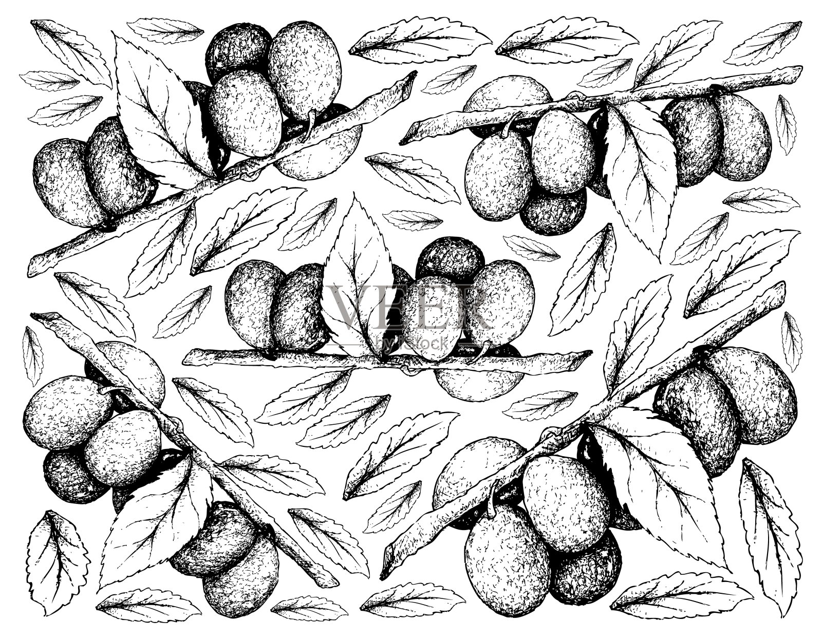 手绘西洋梅水果的背景插画图片素材