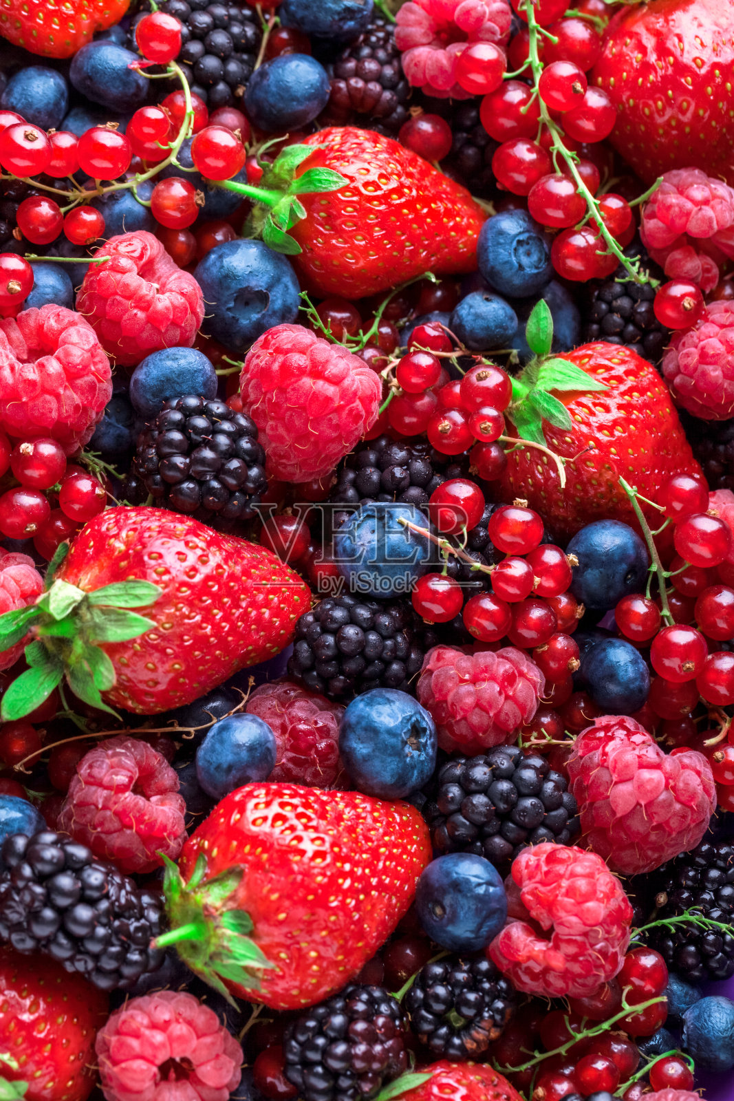 新鲜的彩色头顶各种草莓，黑莓，红醋栗，覆盆子照片摄影图片