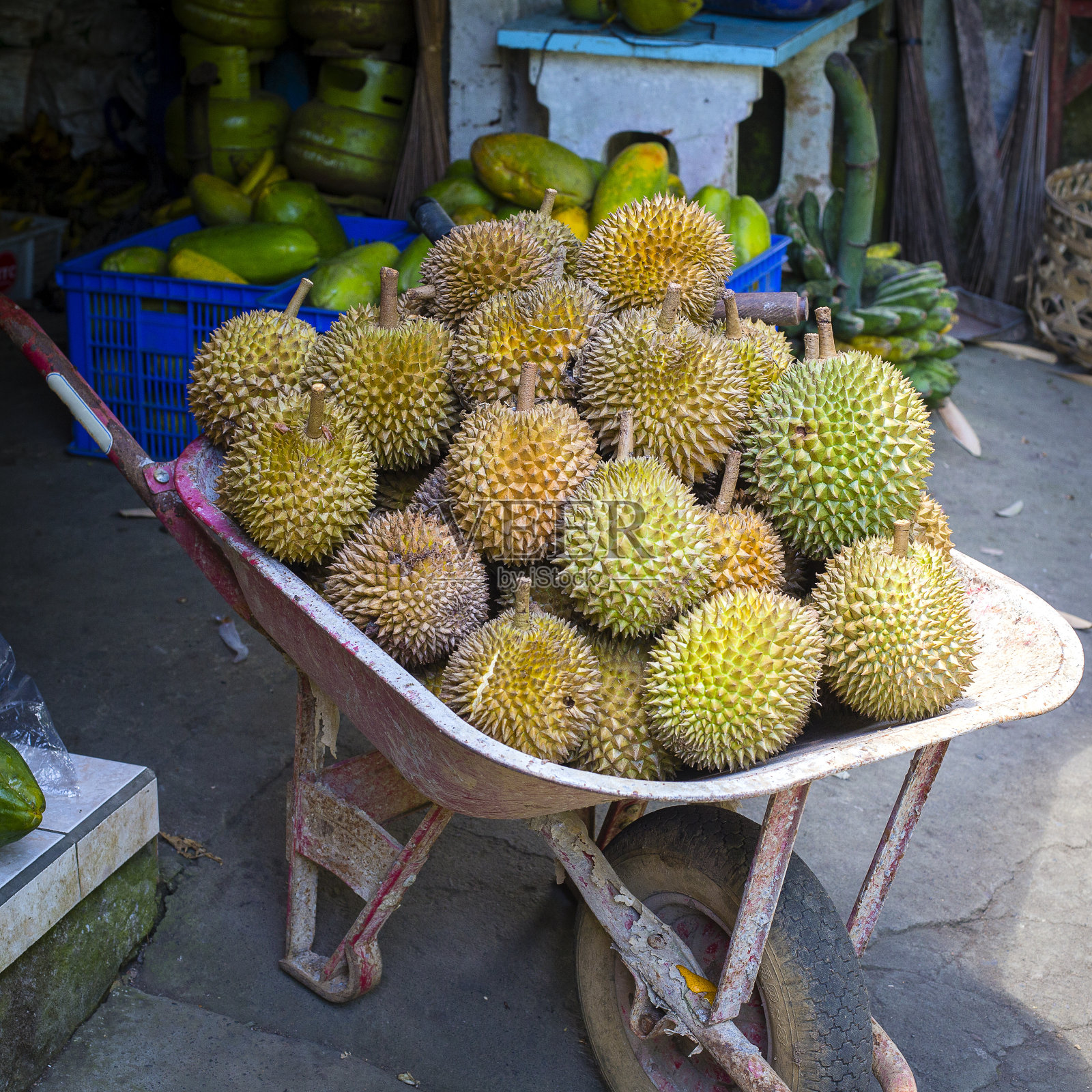 印尼乌布巴厘岛当地市场上，一辆推车上放着成熟的榴莲。亚洲水果之王照片摄影图片