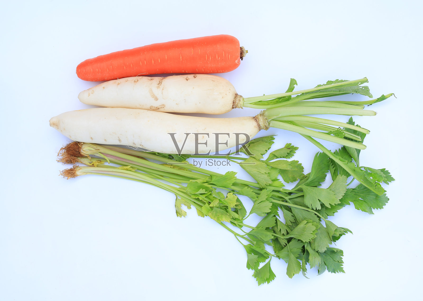 白底上有新鲜的胡萝卜、萝卜和芹菜。照片摄影图片