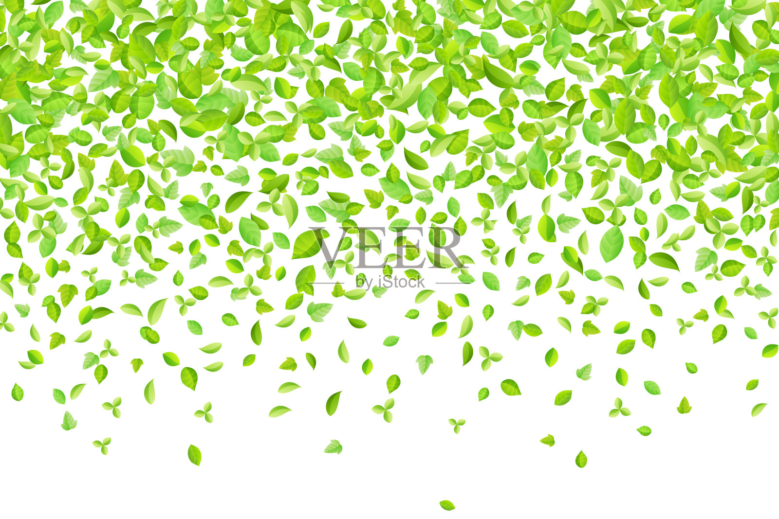 矢量清新的春天的绿叶背景贺卡在扁平风格设计元素图片
