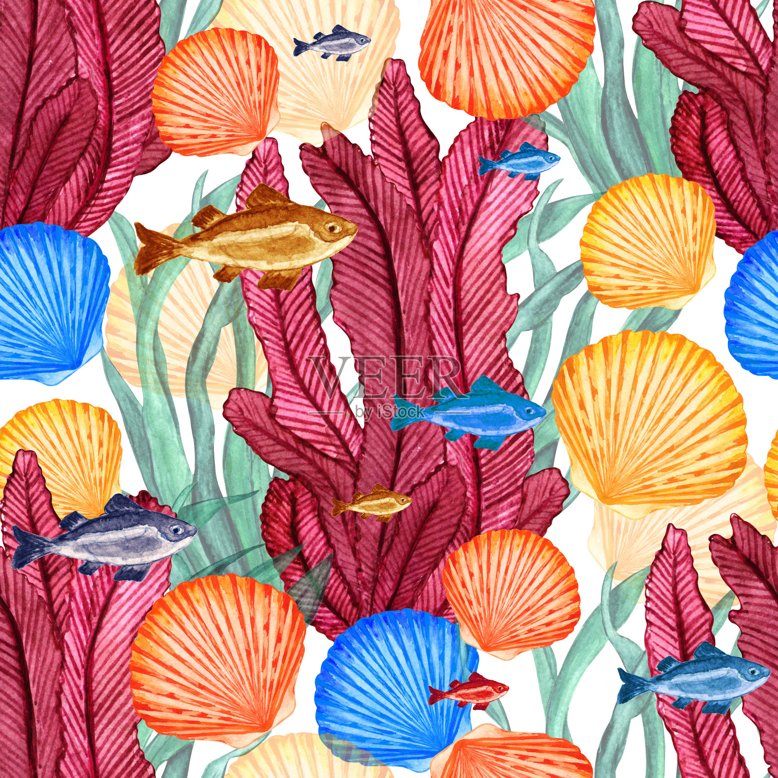 水彩无缝图案与鱼类、海贝、海藻插画图片素材