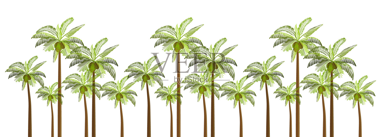 矢量棕榈树插图为您的业务。白色背景上孤立的棕榈树。设计元素图片