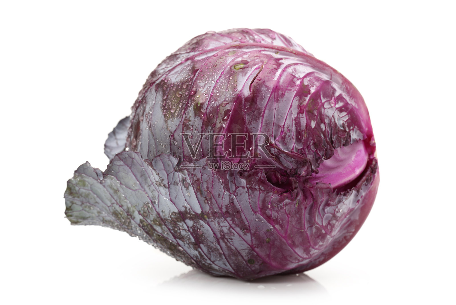 白色背景上的紫色卷心菜照片摄影图片