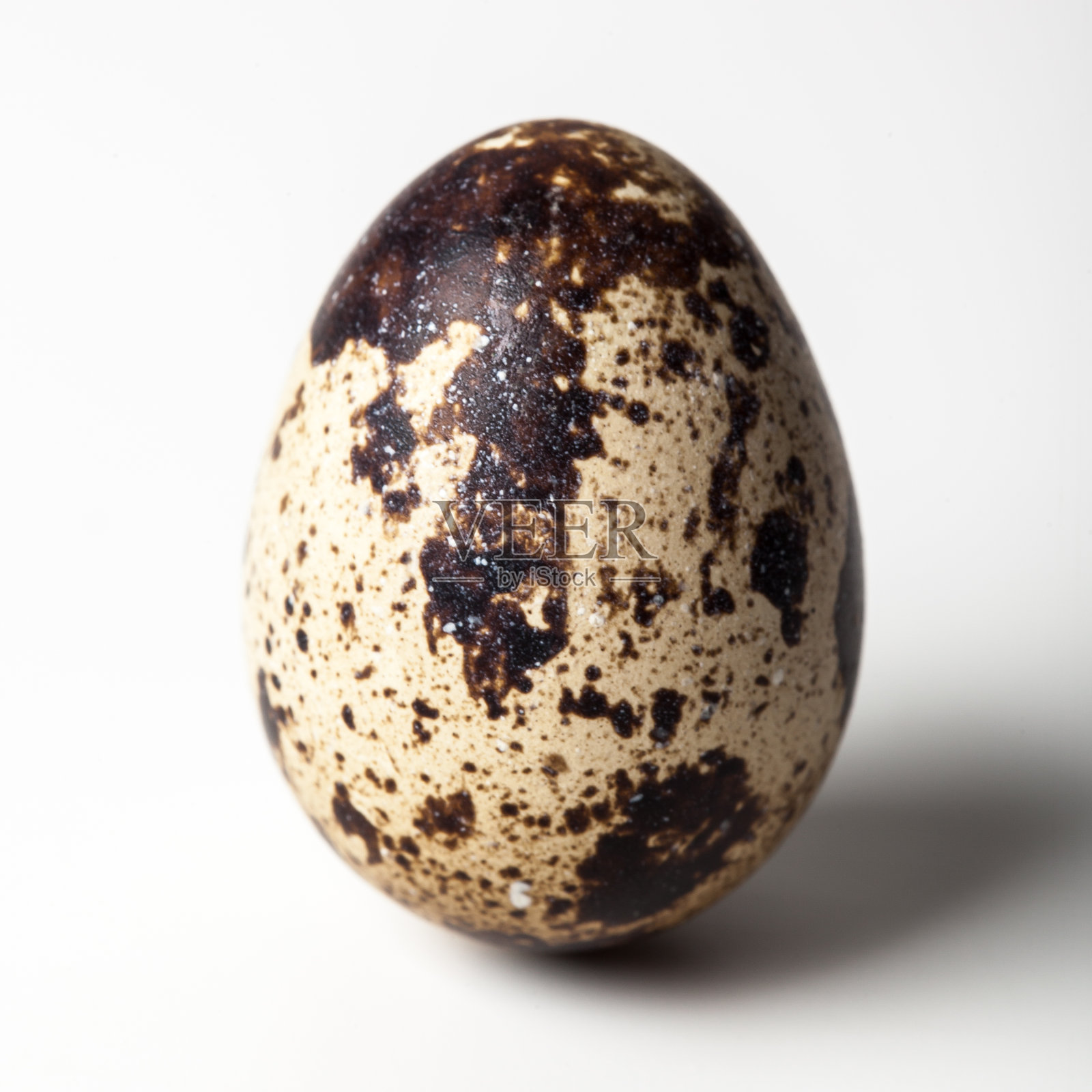 白色背景上的鹌鹑蛋照片摄影图片