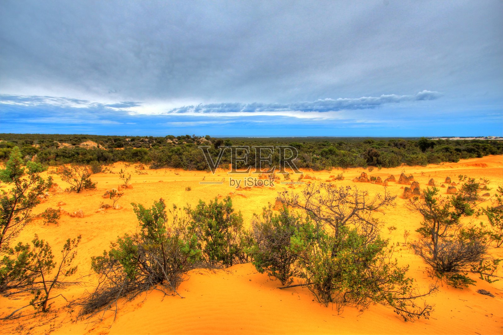 澳大利亚的Pinnacles沙漠照片摄影图片