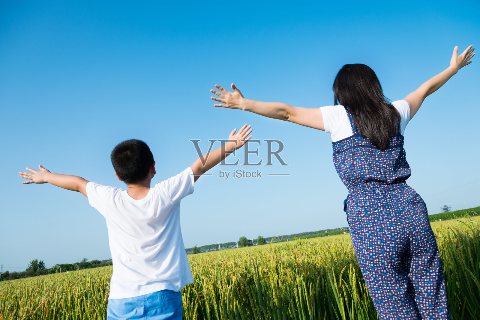 母亲和儿子在稻田里照片摄影图片