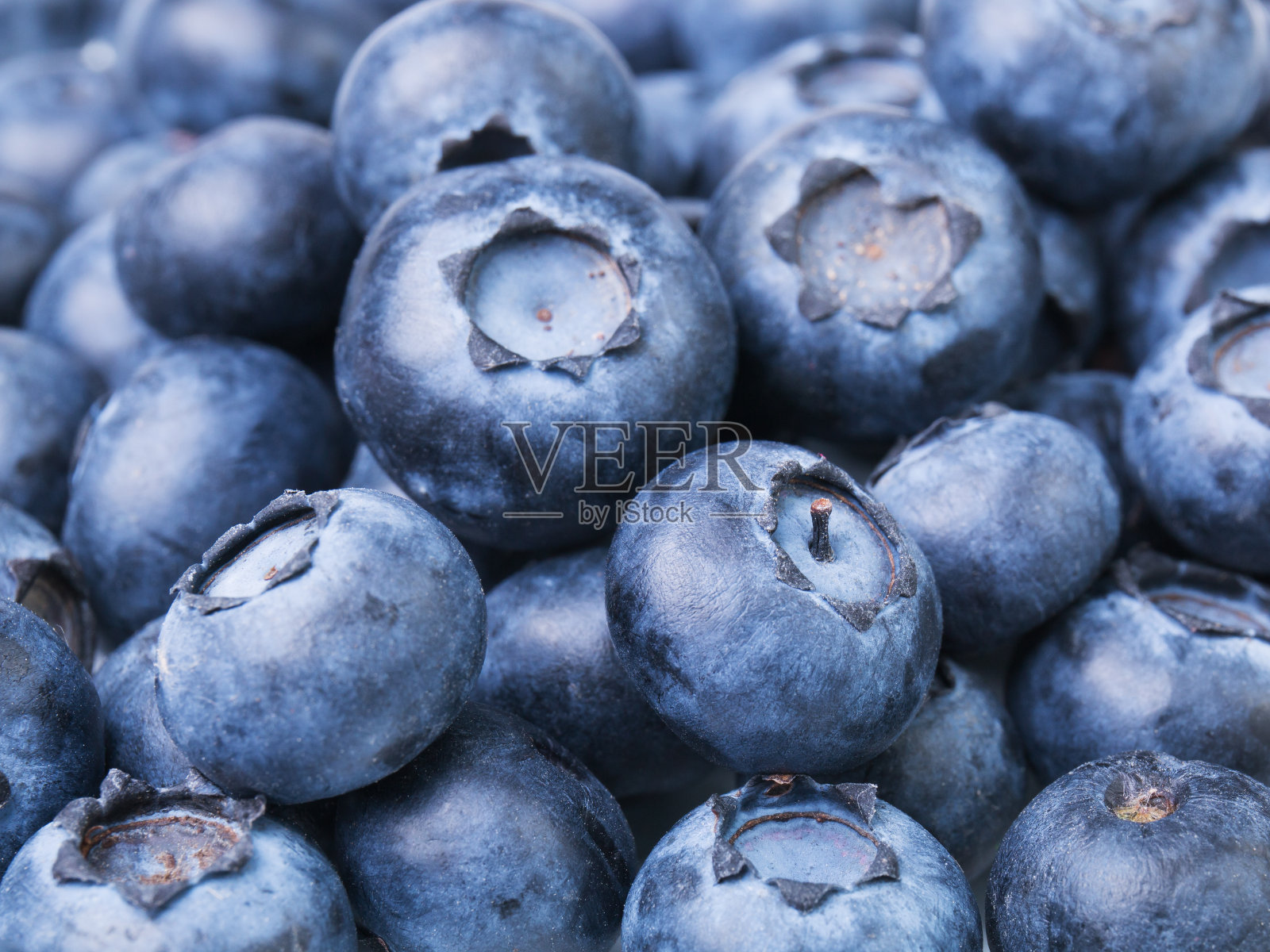 蓝莓背景，新鲜越桔采摘浆果特写照片摄影图片
