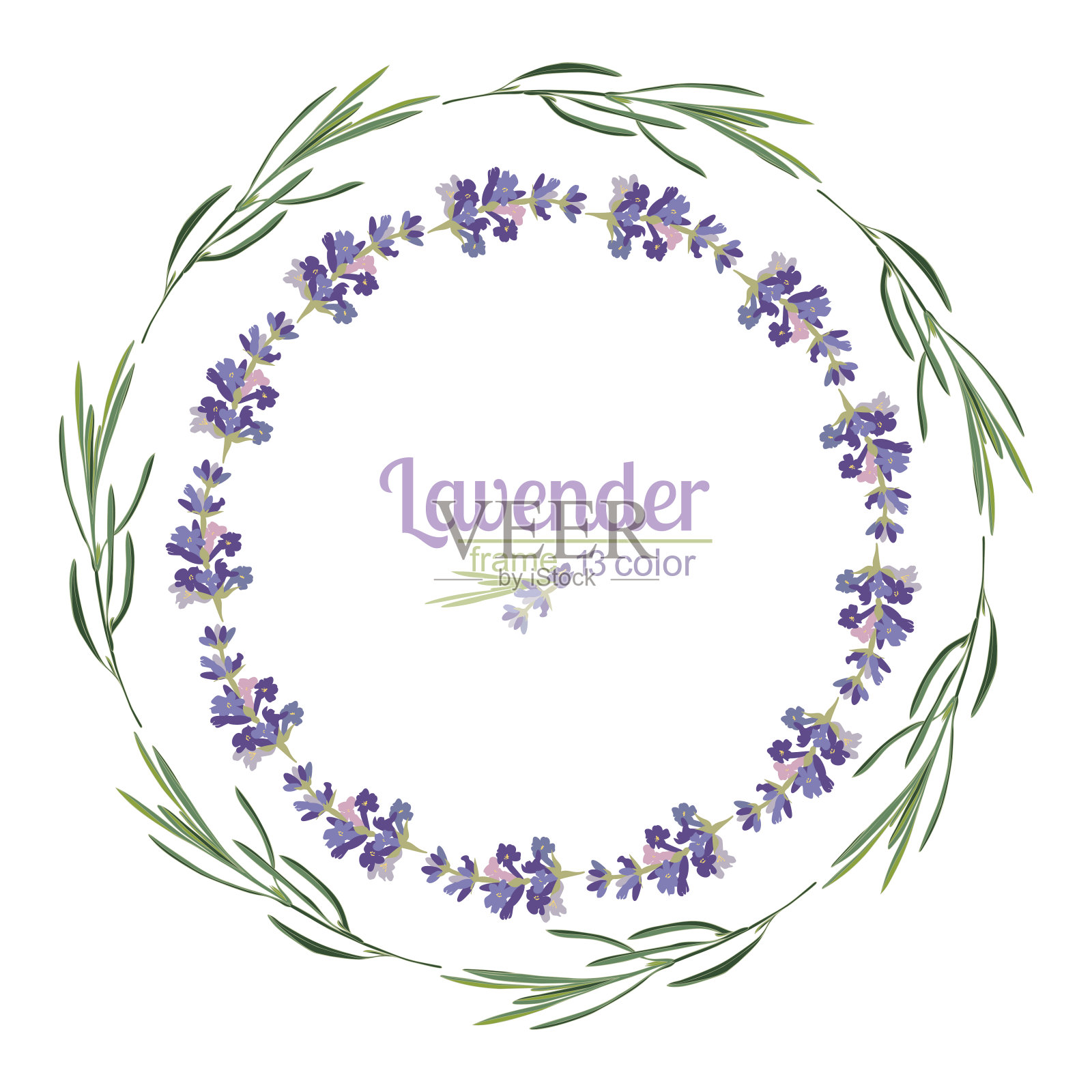 紫罗兰薰衣草美丽的花框架模板在水彩风格孤立在白色的背景装饰设计，婚礼卡，邀请，旅行flayer插画图片素材