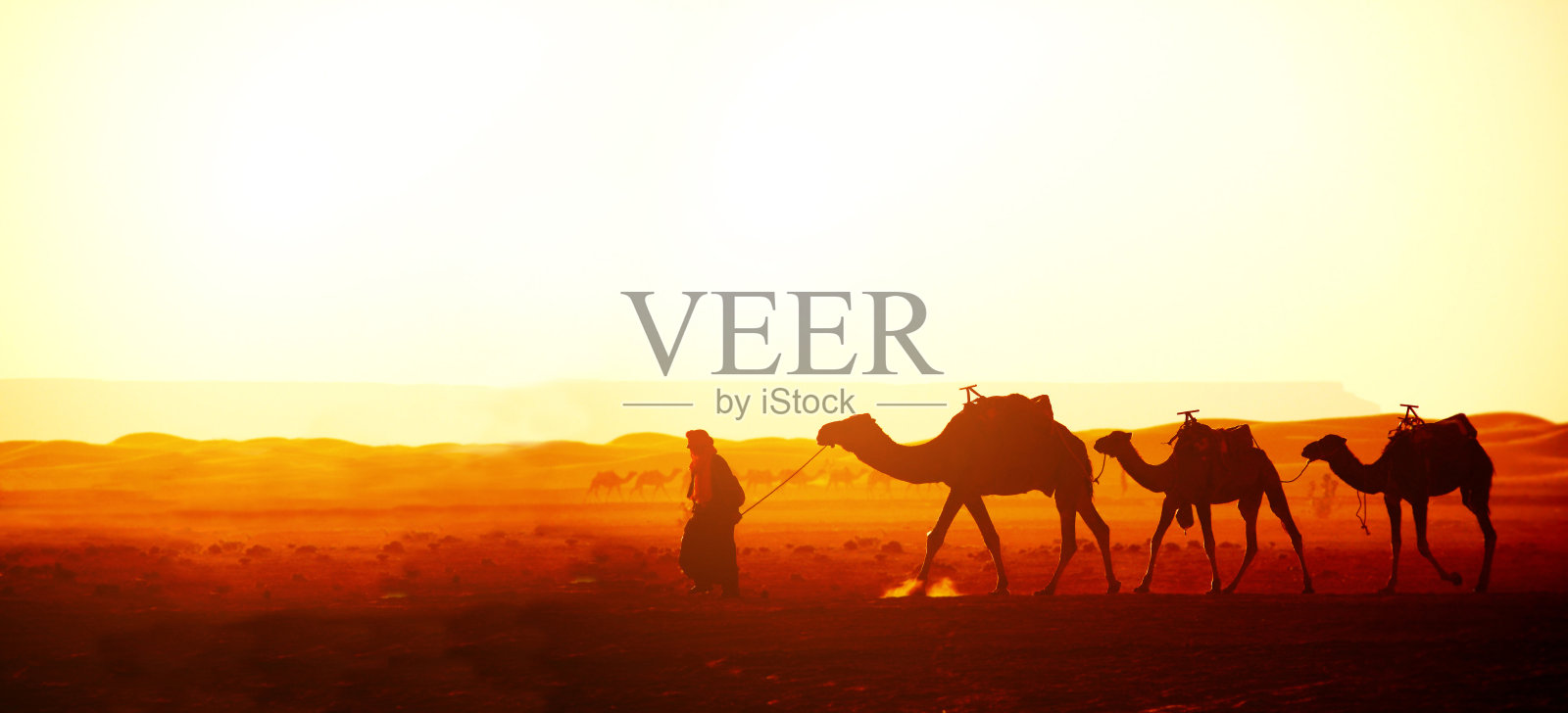 摩洛哥撒哈拉沙漠中的骆驼队照片摄影图片