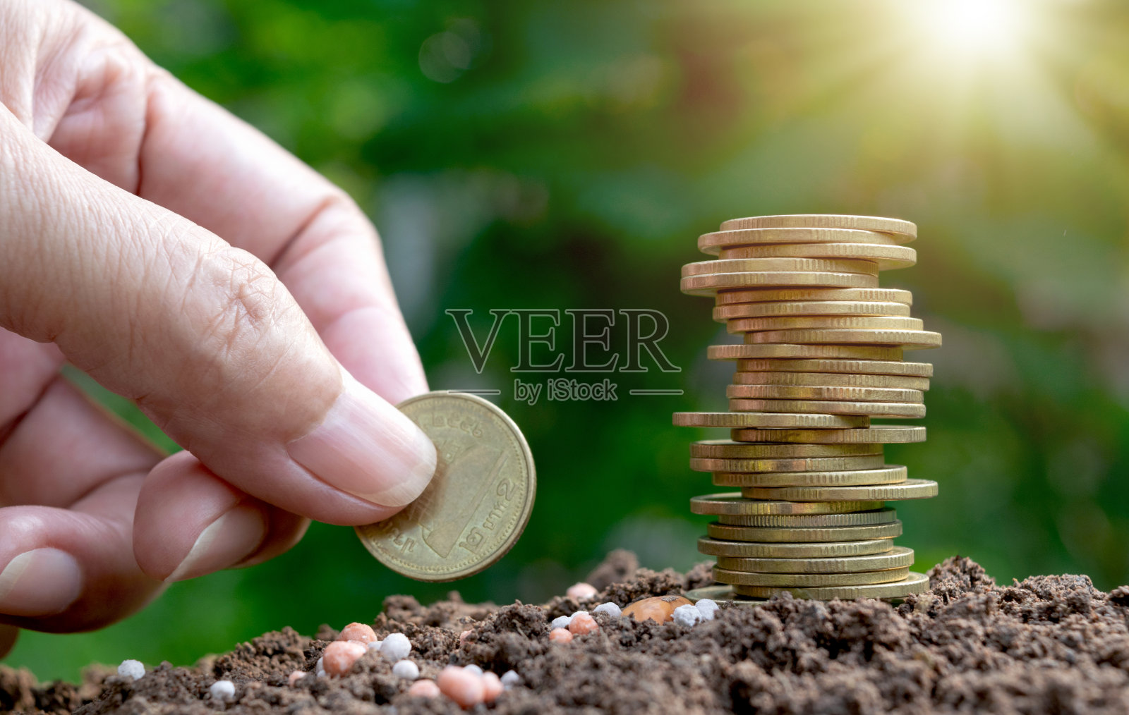 手握硬币上的土壤节约种植概念。照片摄影图片