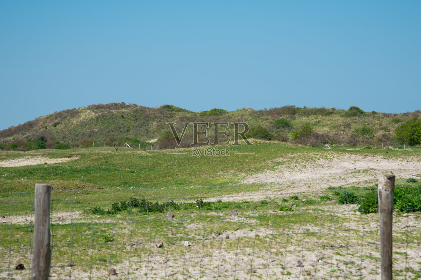 沙丘景观，在Renesse，荷兰，北海，蓝天照片摄影图片
