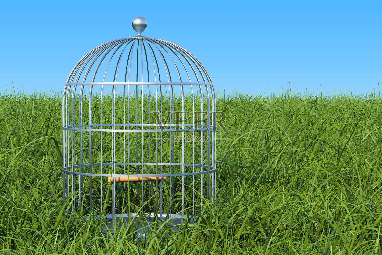 鸟笼在绿草映衬着蓝天，3D渲染照片摄影图片