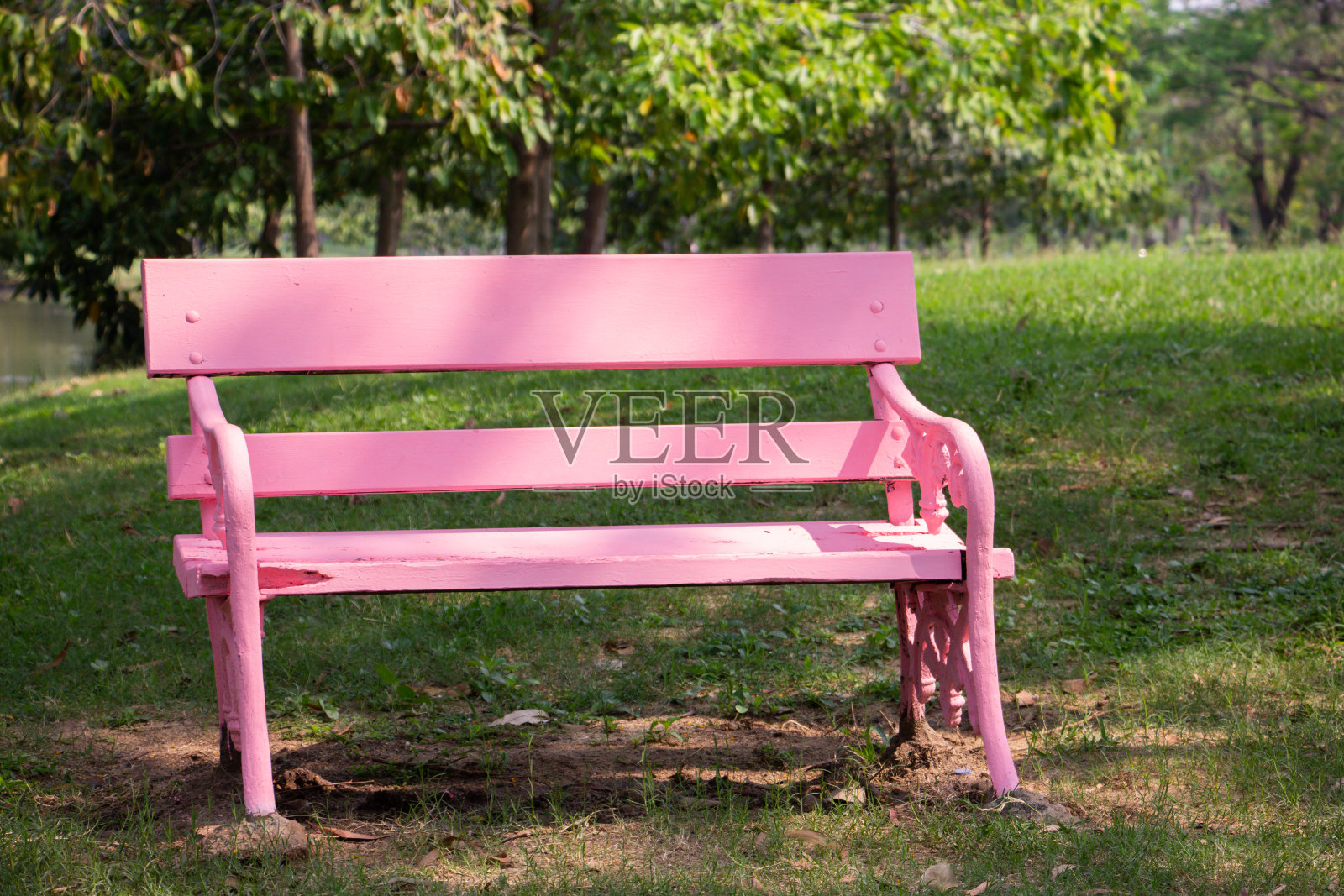公园里的粉色椅子照片摄影图片