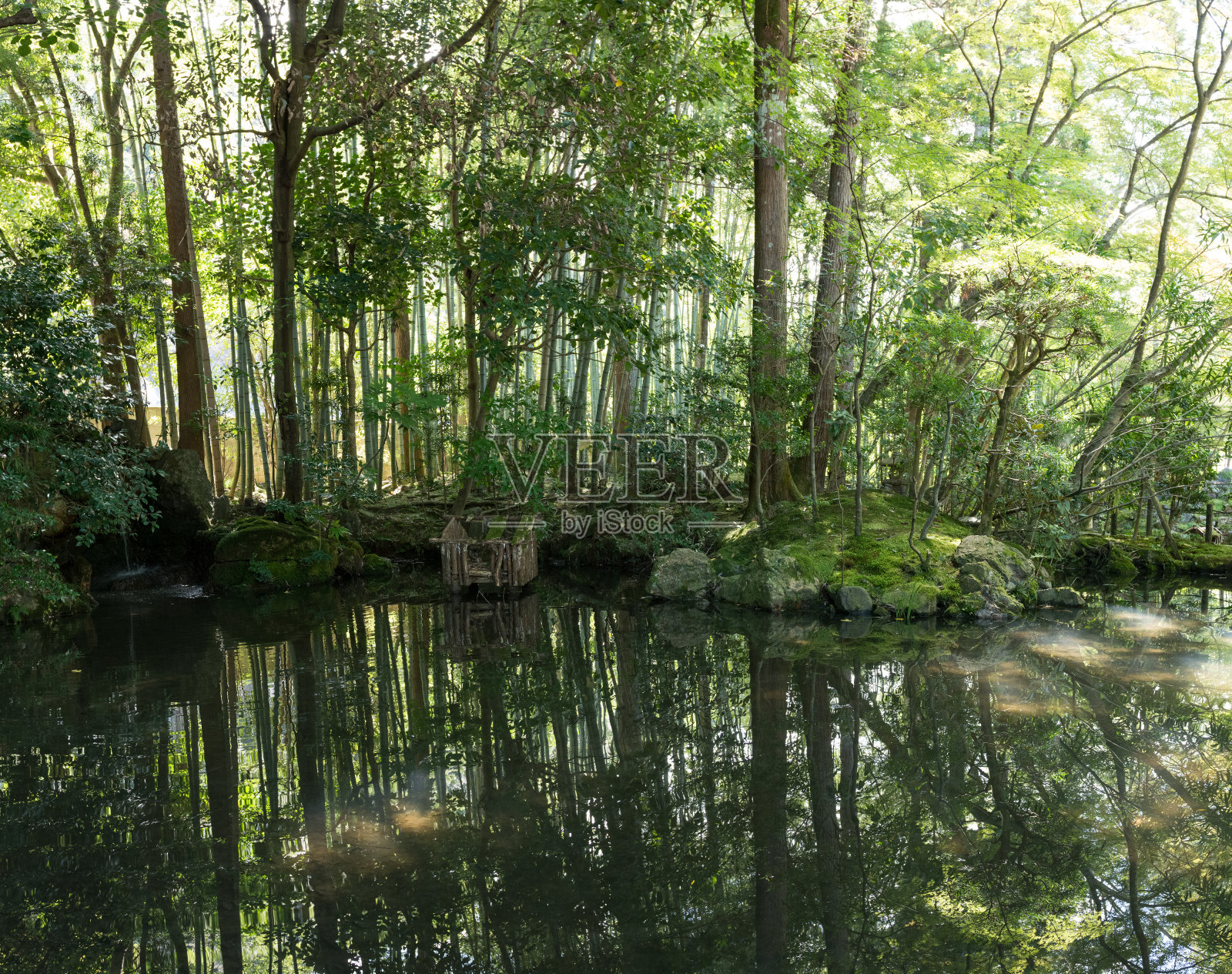 日本东方绿色园林景观和池塘照片摄影图片