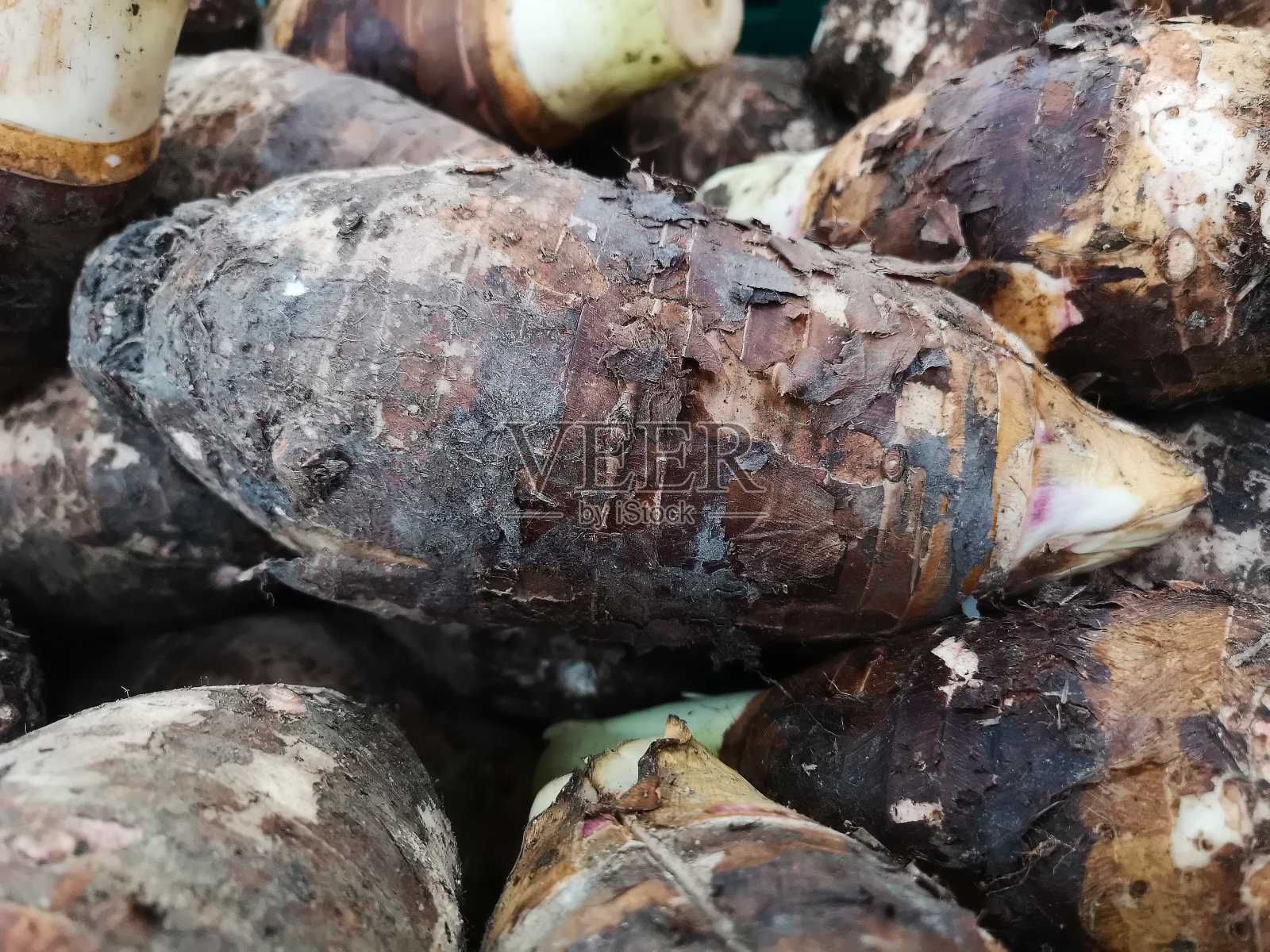 棕色和白色的泰国芋头根，堆放在一个市场的垃圾箱里，准备迎接他们急切的买家。照片摄影图片