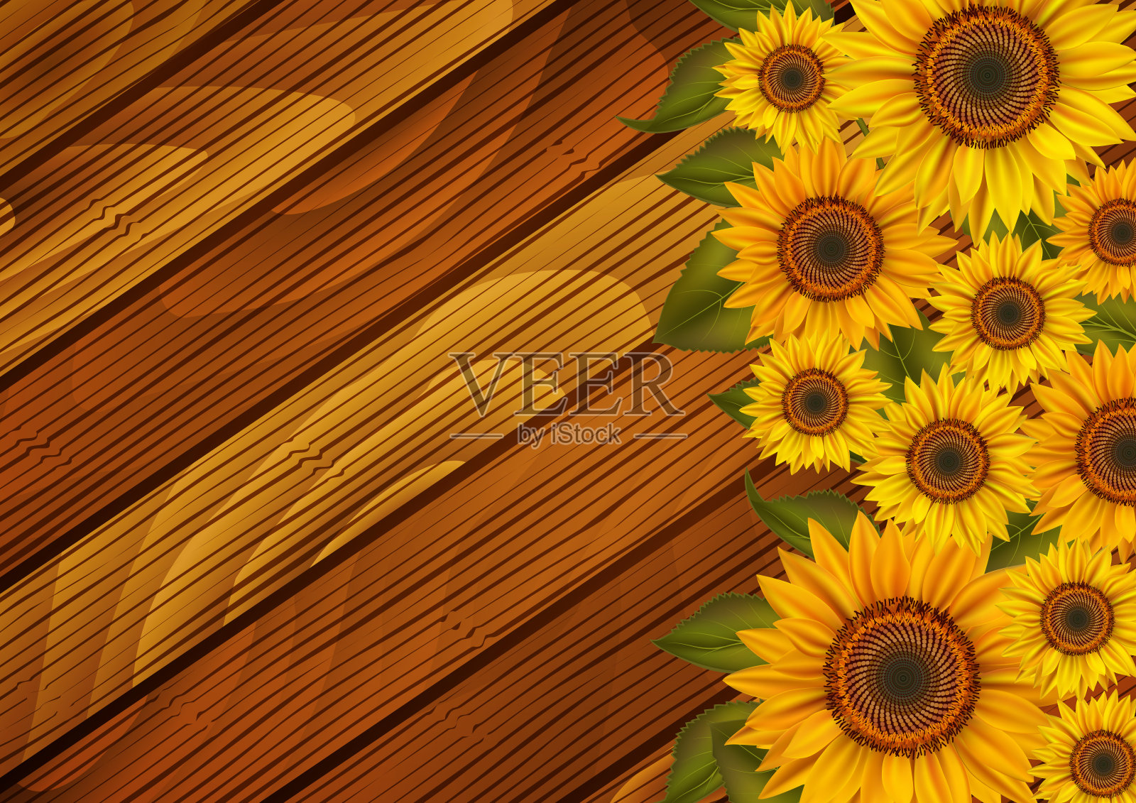 木制背景上的向日葵插画图片素材
