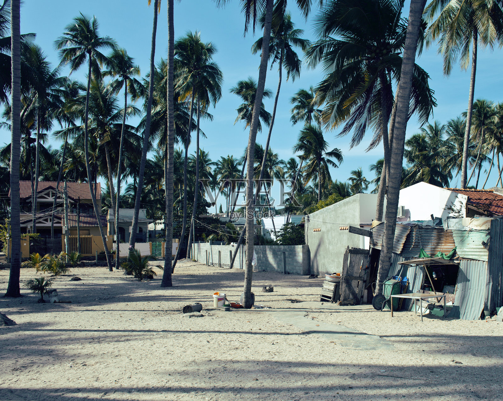 在海边的棕榈树和沙滩上的越南小屋照片摄影图片