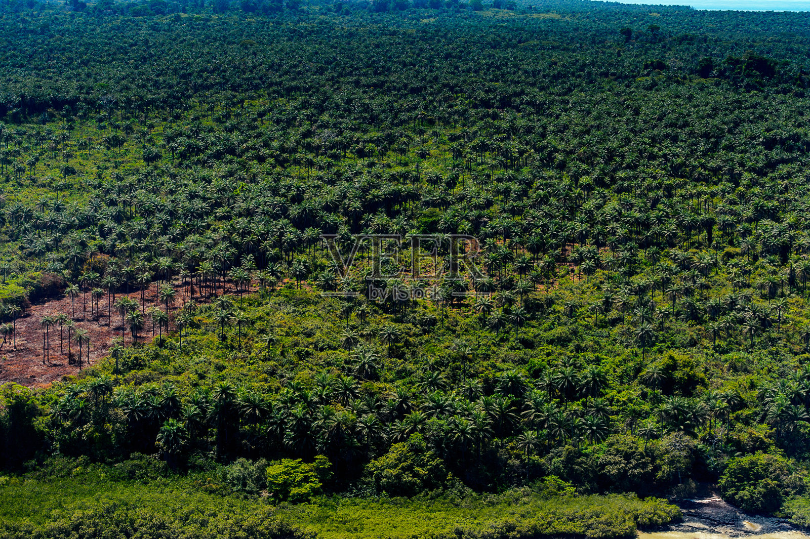 几内亚比绍比萨戈斯群岛(Bijagos)鸟瞰图。联合国教科文组织生物圈保护区照片摄影图片